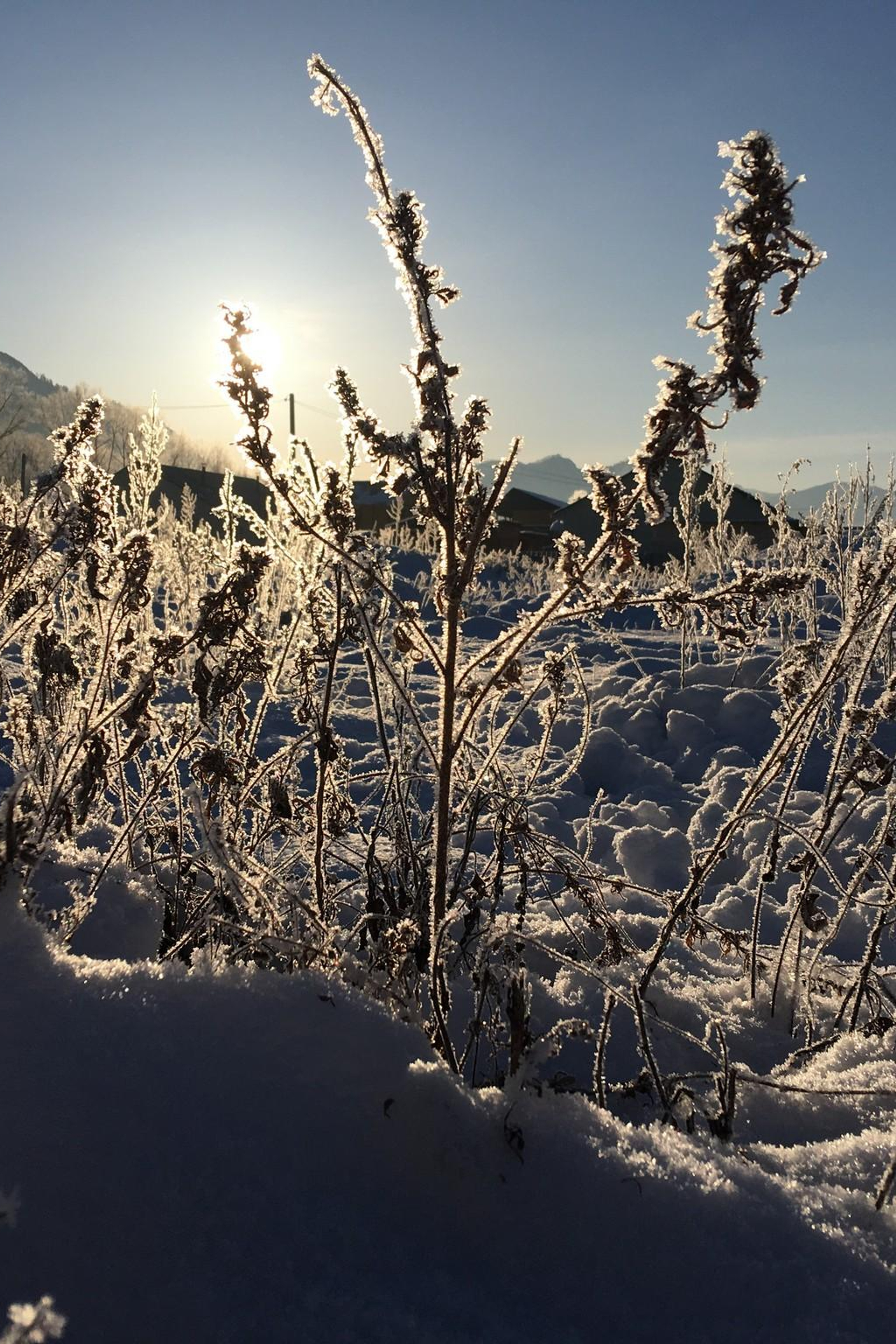 Зимний Чемал