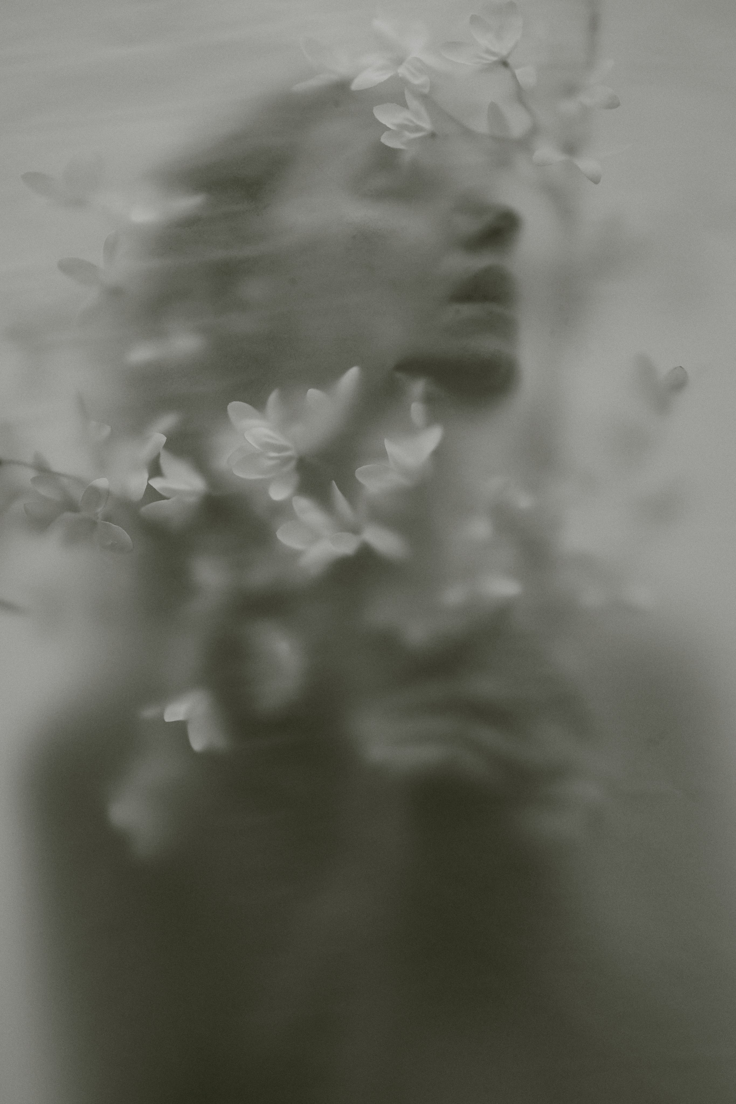 Минимализм