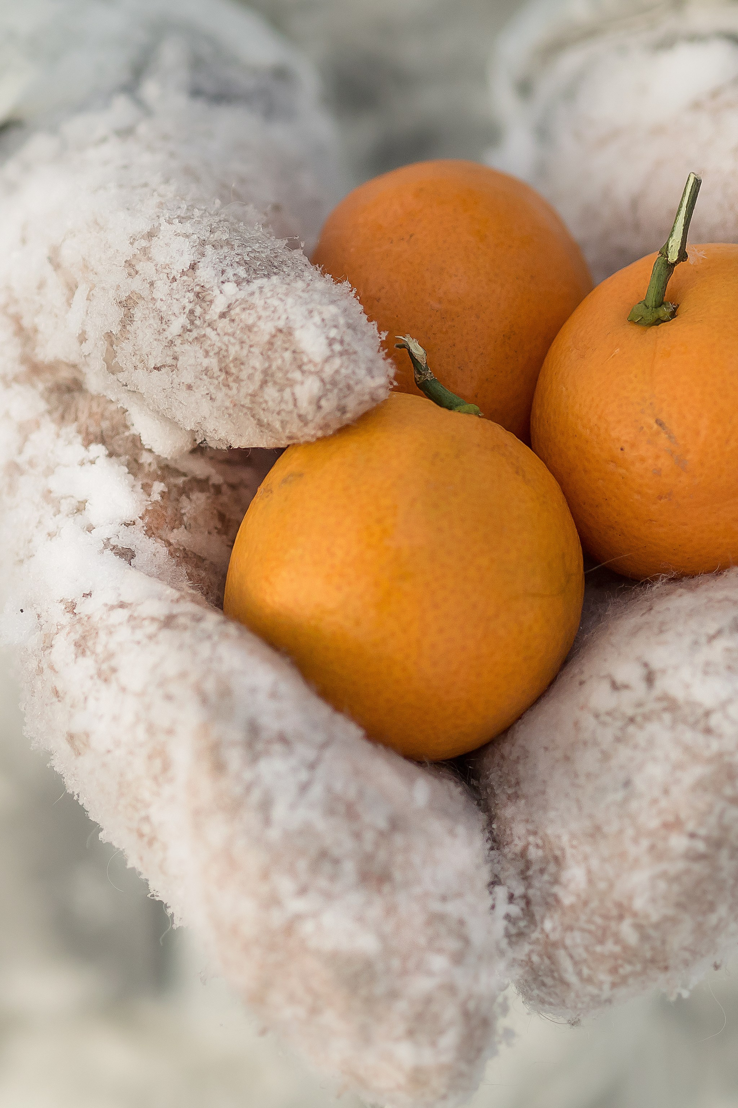 Зимняя сказка