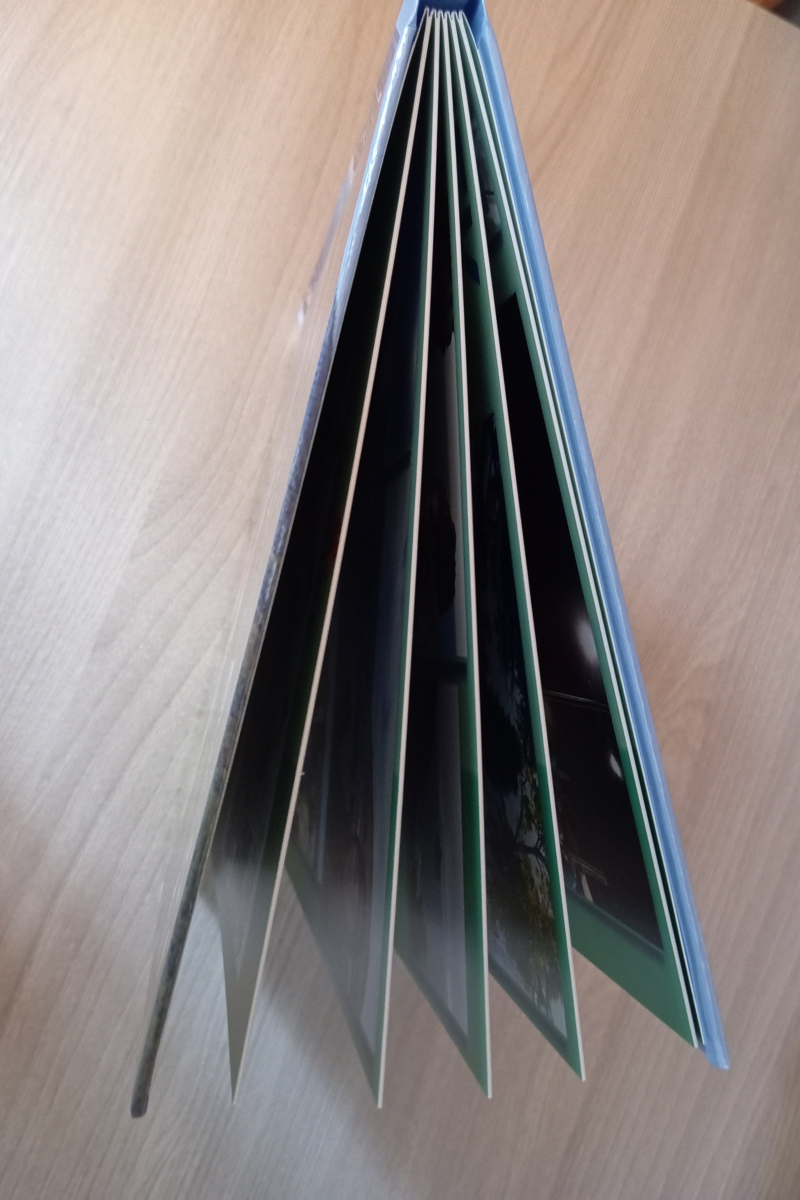 Артековский альбом для Марата