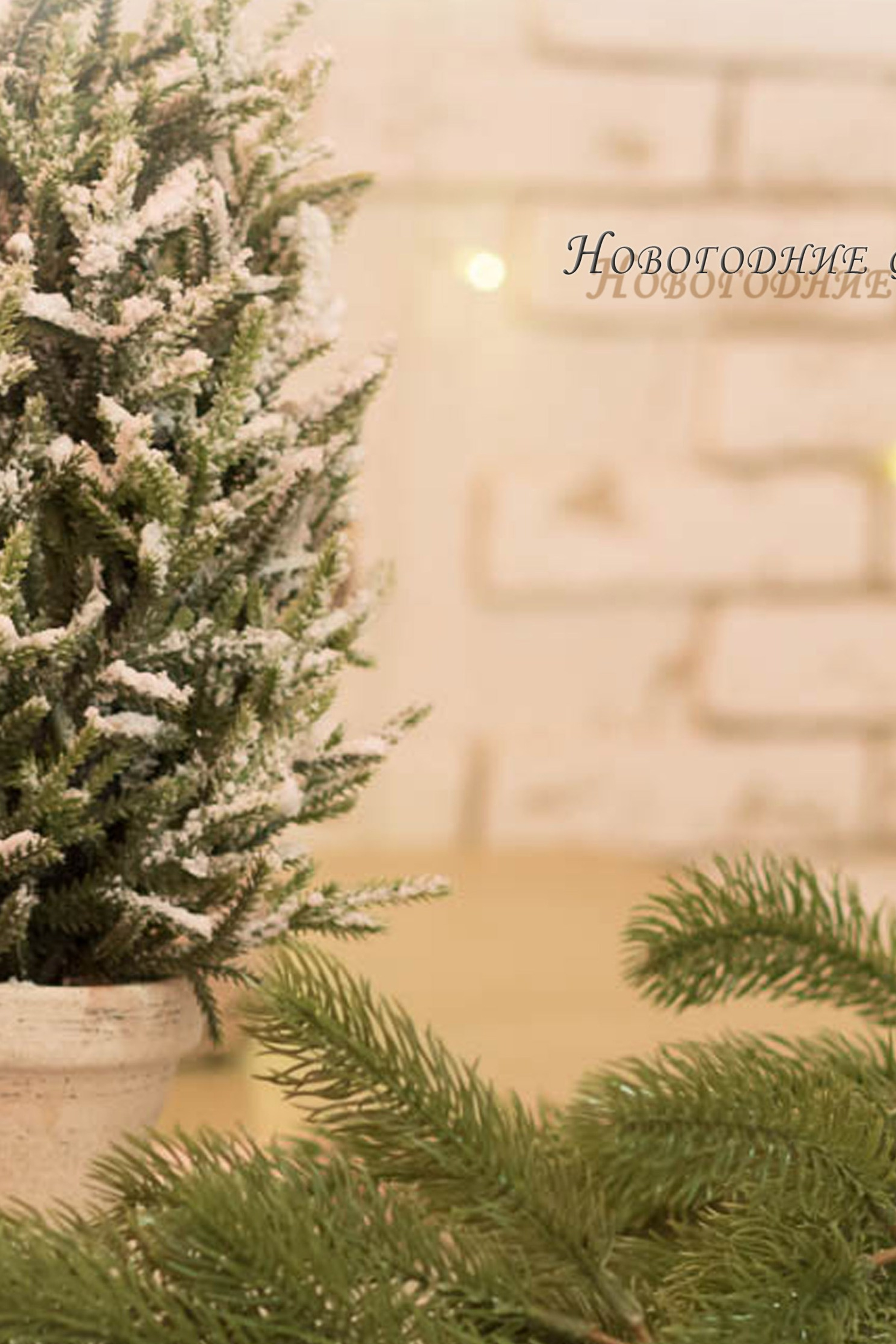 Новогодний Альбом
