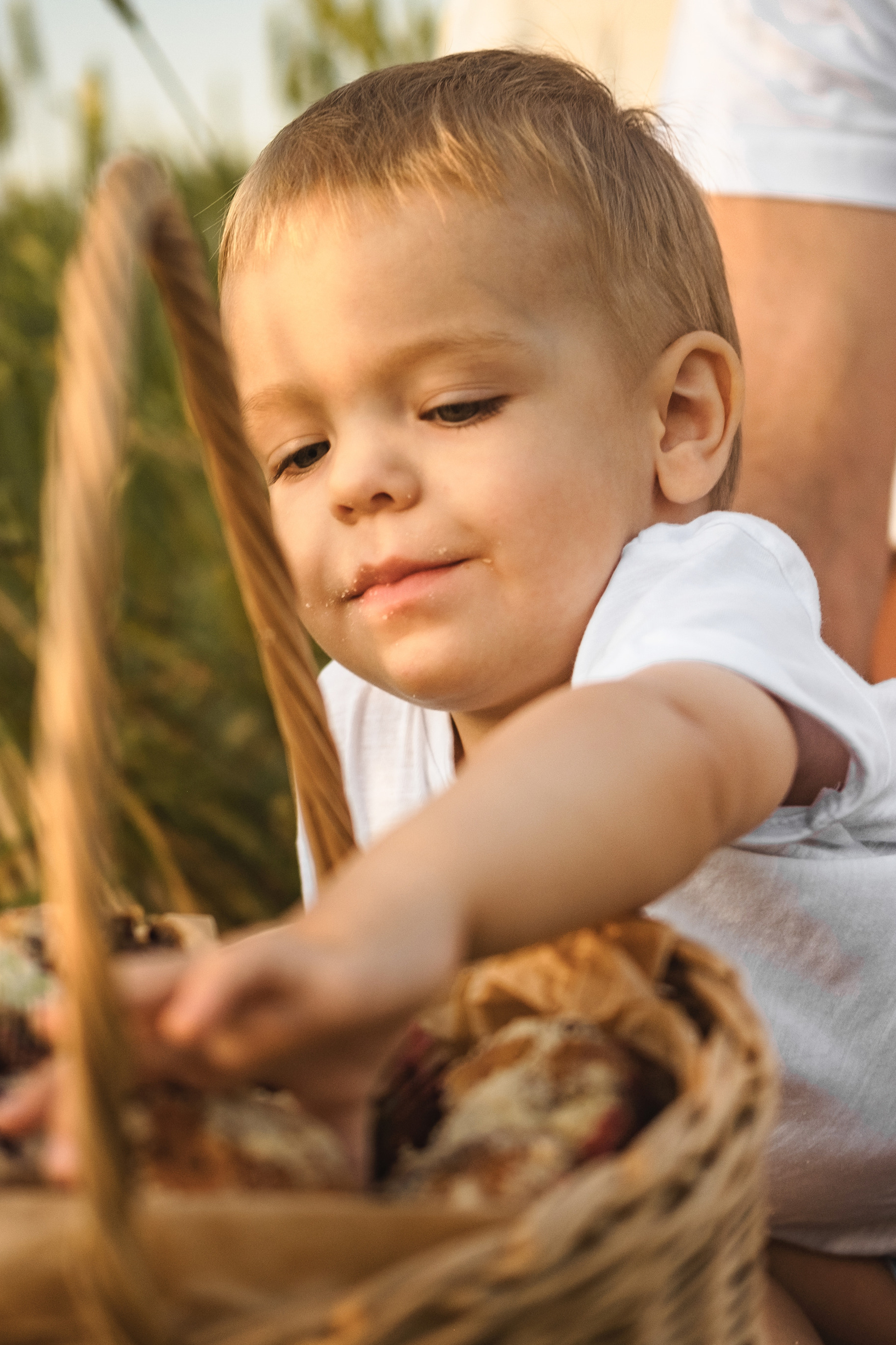 Сава в поле)