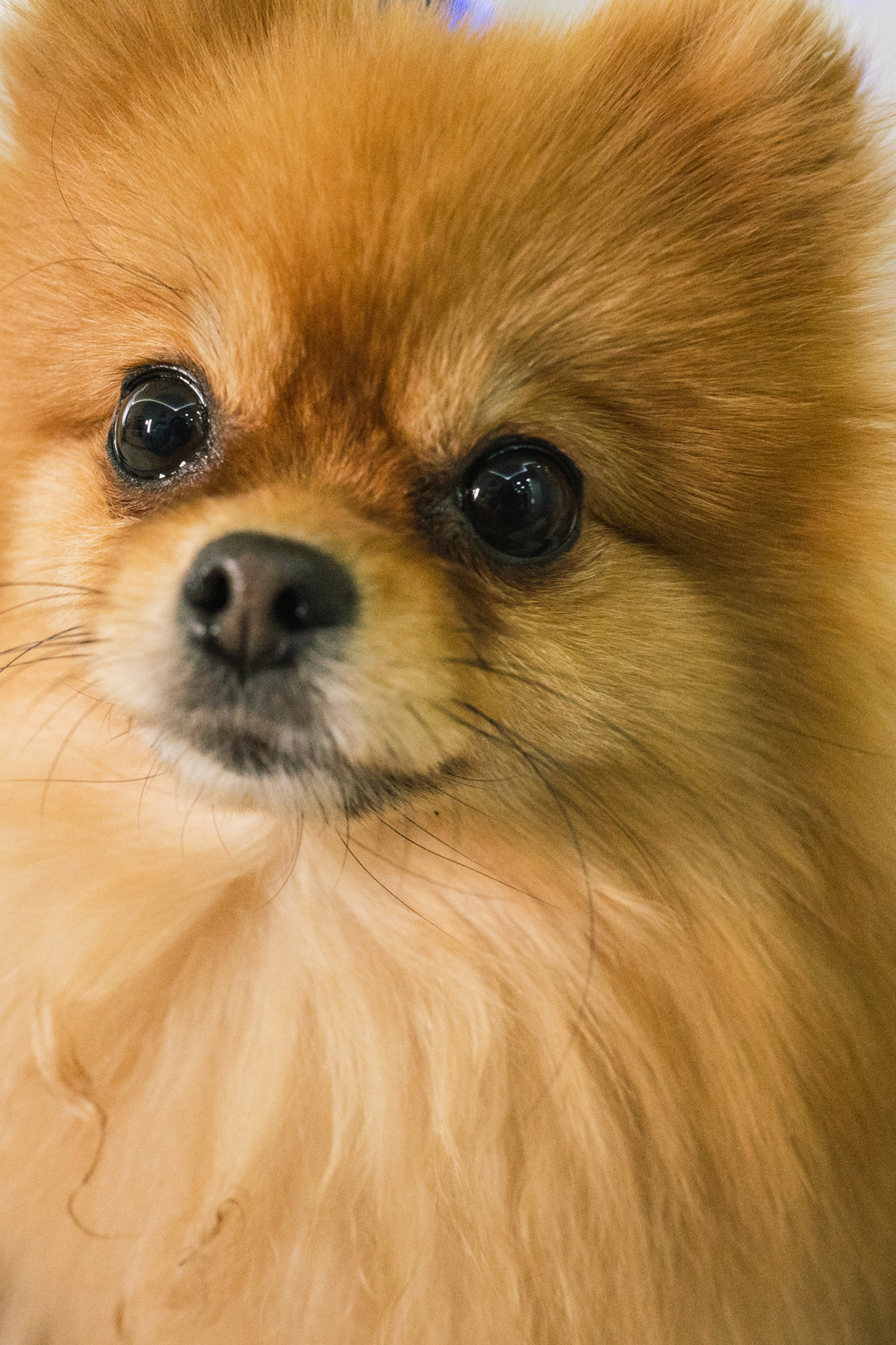 Отзывы. Семейный и женский фотограф