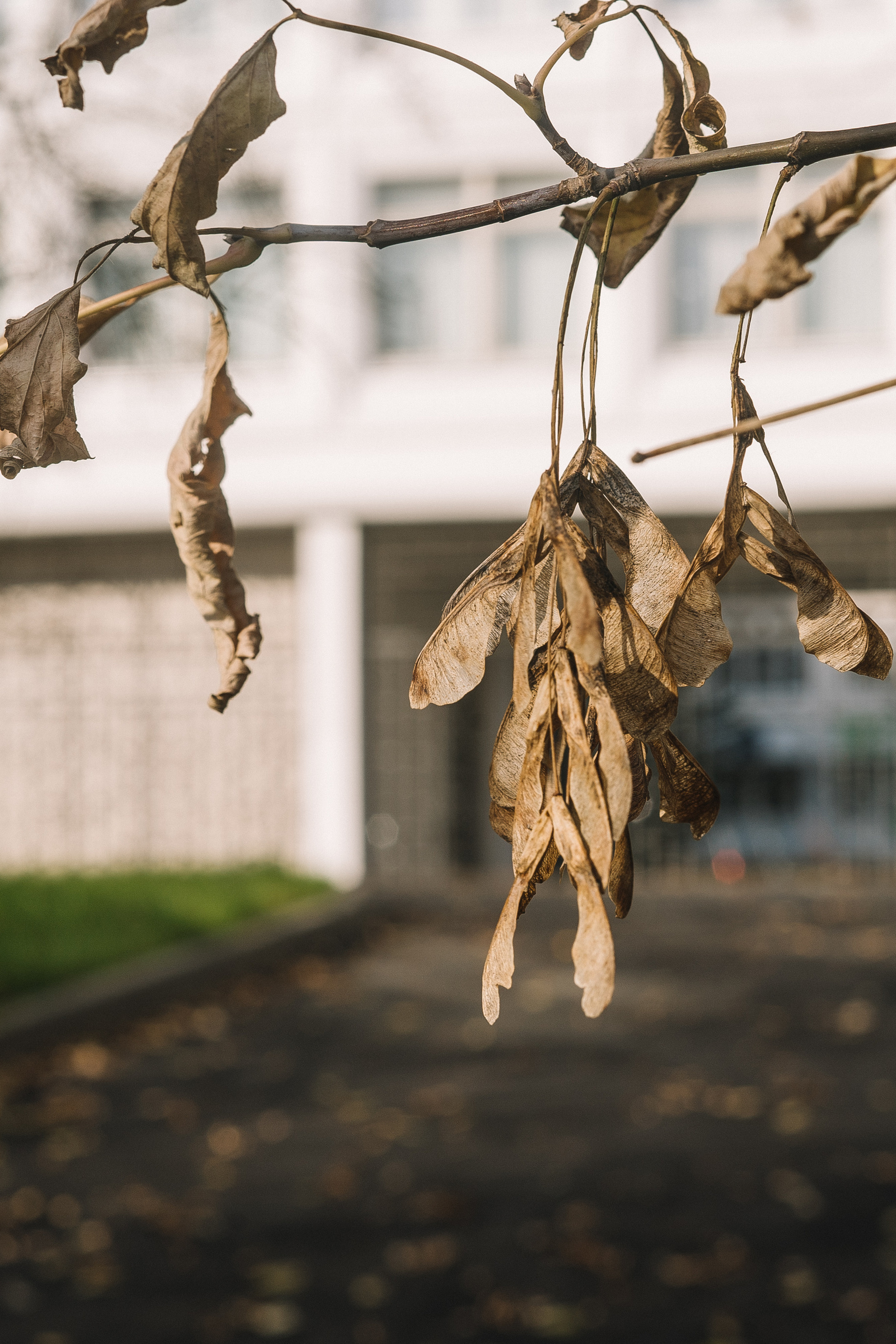 Отзывы. Семейный и женский фотограф