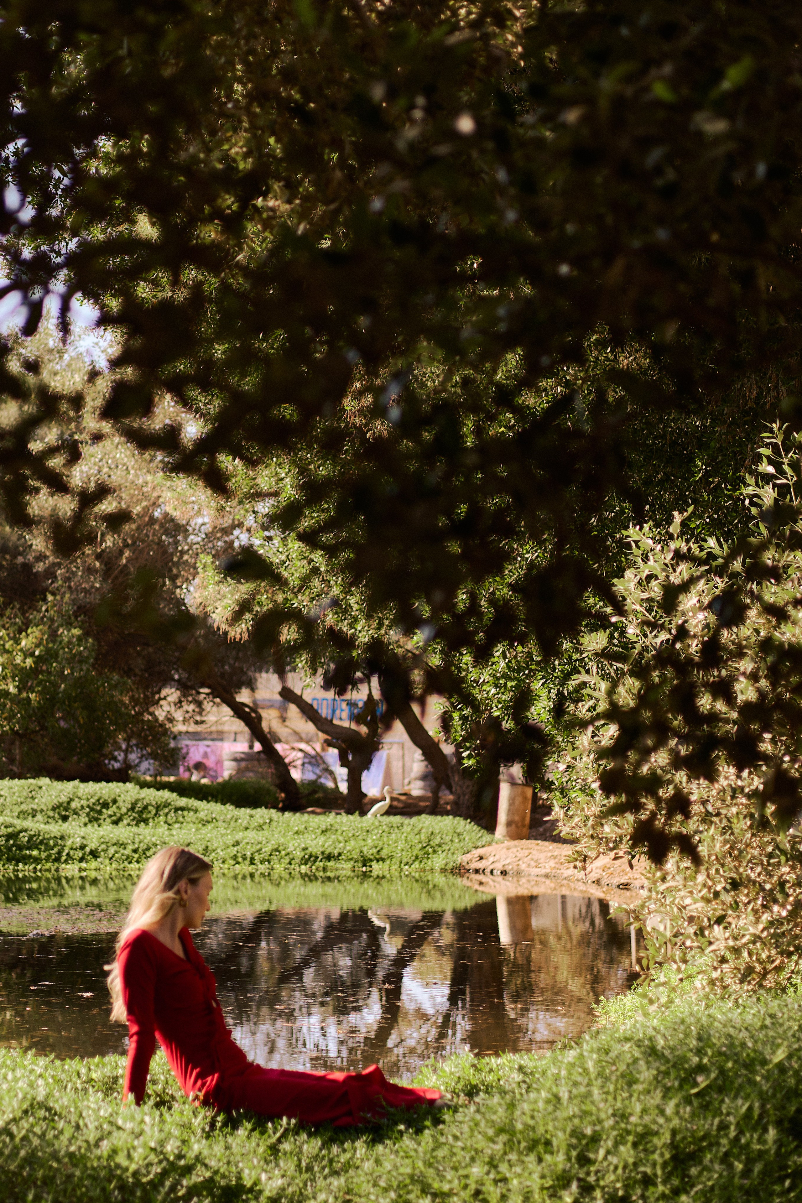 Портфолио 2025. Jorgis — фотограф в Хургаде / обучение фотографии