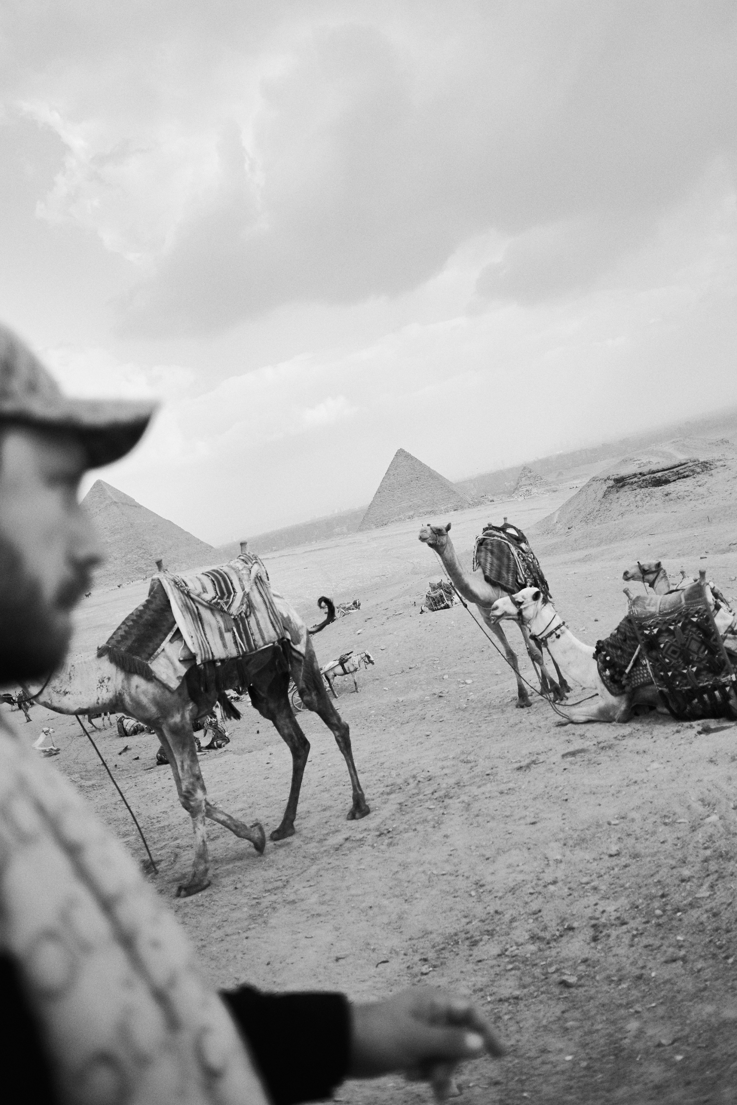 Портфолио 2025. Jorgis — фотограф в Хургаде / обучение фотографии