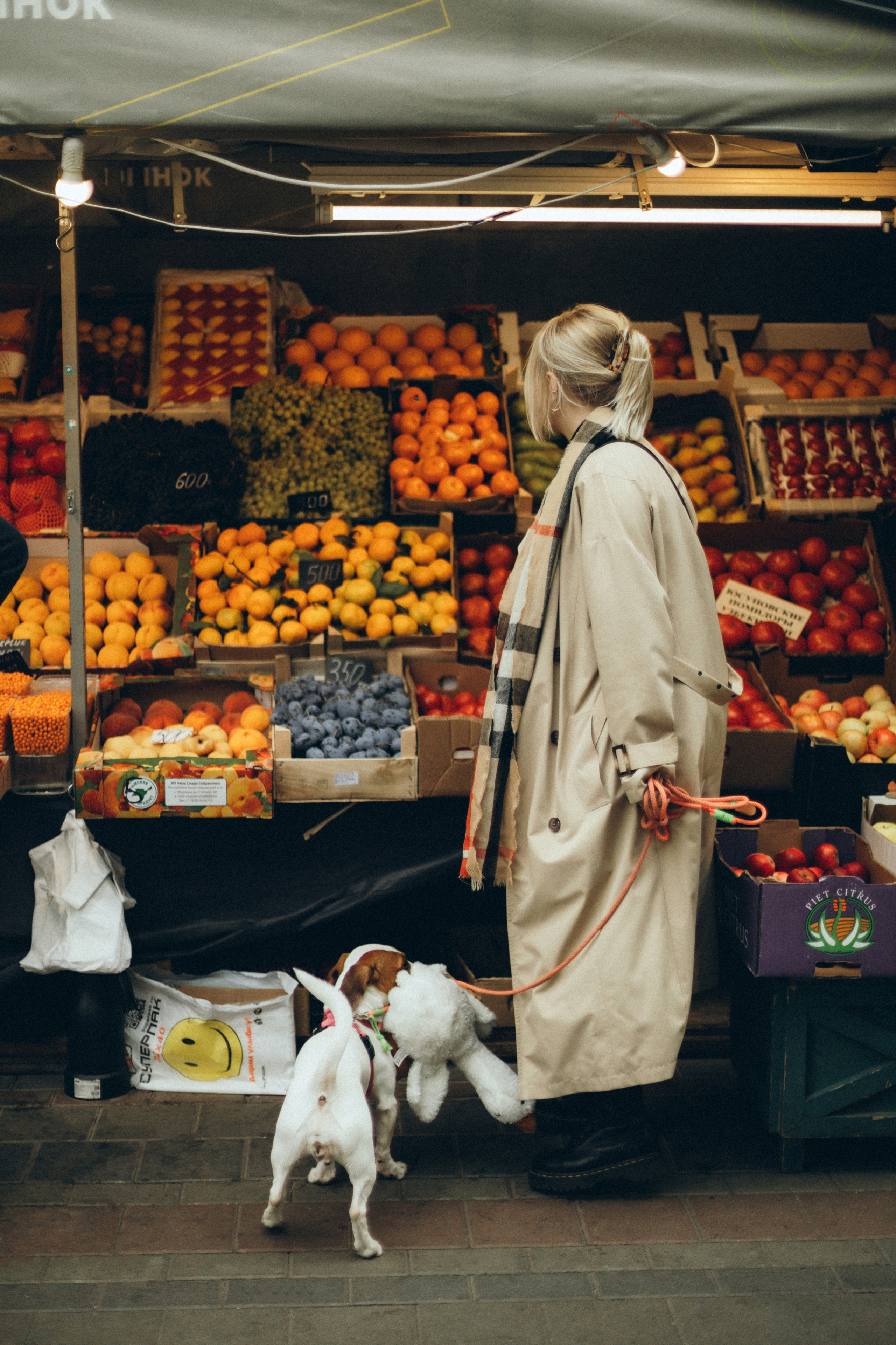 Отзывы. Свадебный и портретный фотограф в Москве Кристина Золотова