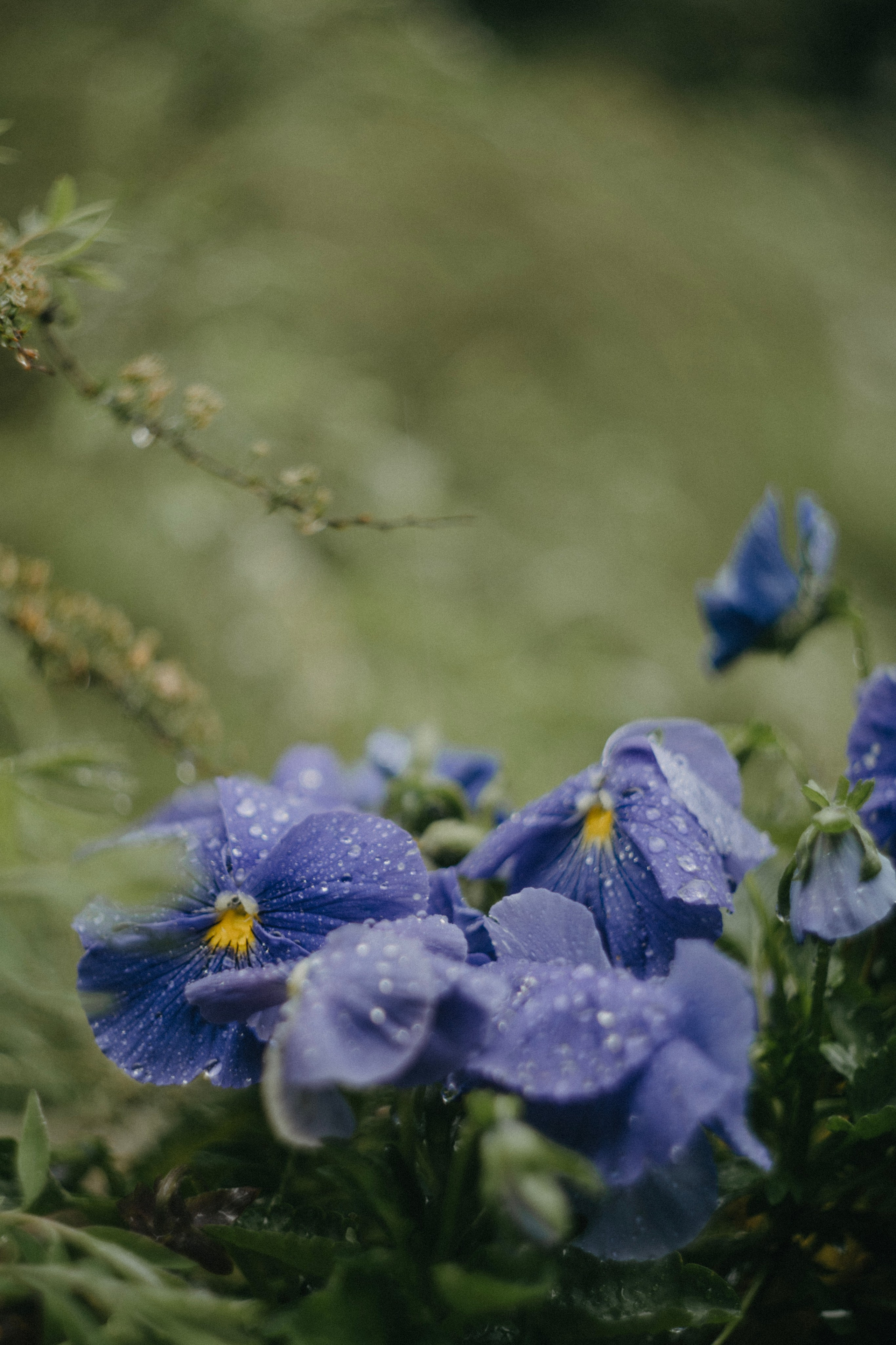 Отзывы. Фотограф Москва Селюкова Юлия