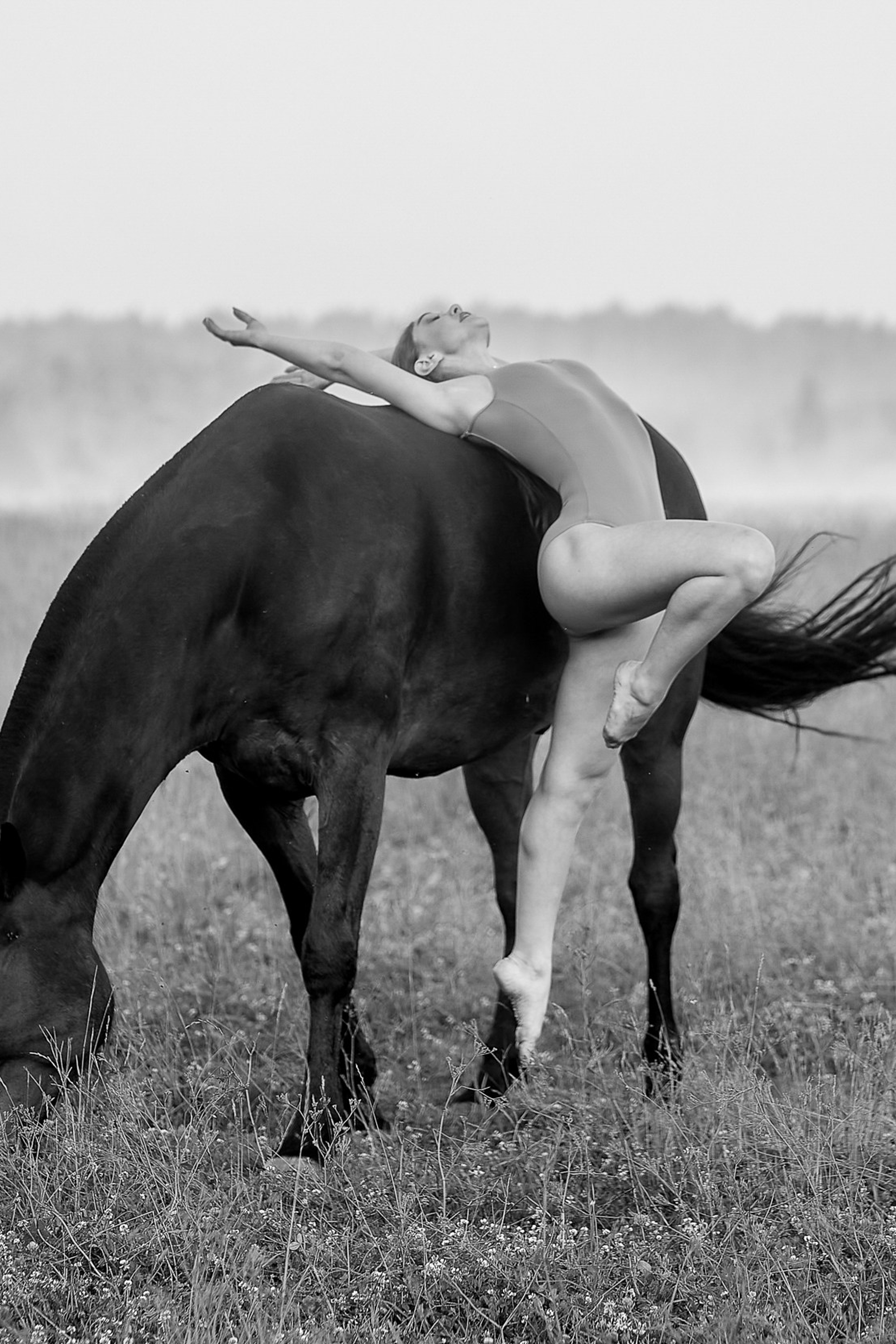 Балет и&nbsp;лошади, фотосессия «ГРАЦИЯ и&nbsp;СИЛА-1»&nbsp;Фотограф Михаил Семенов г.&nbsp;Ярославль