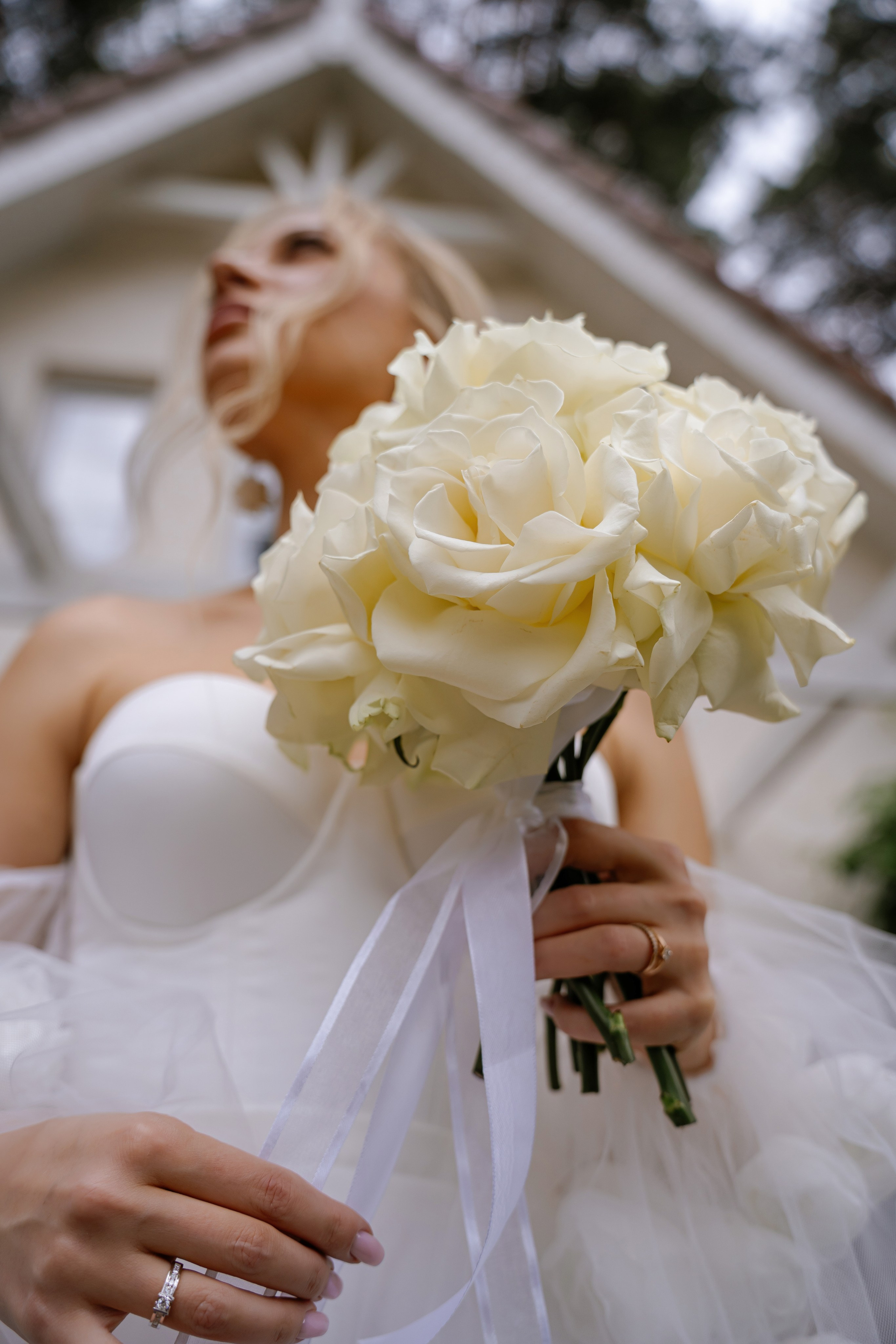 Сергей & Лина