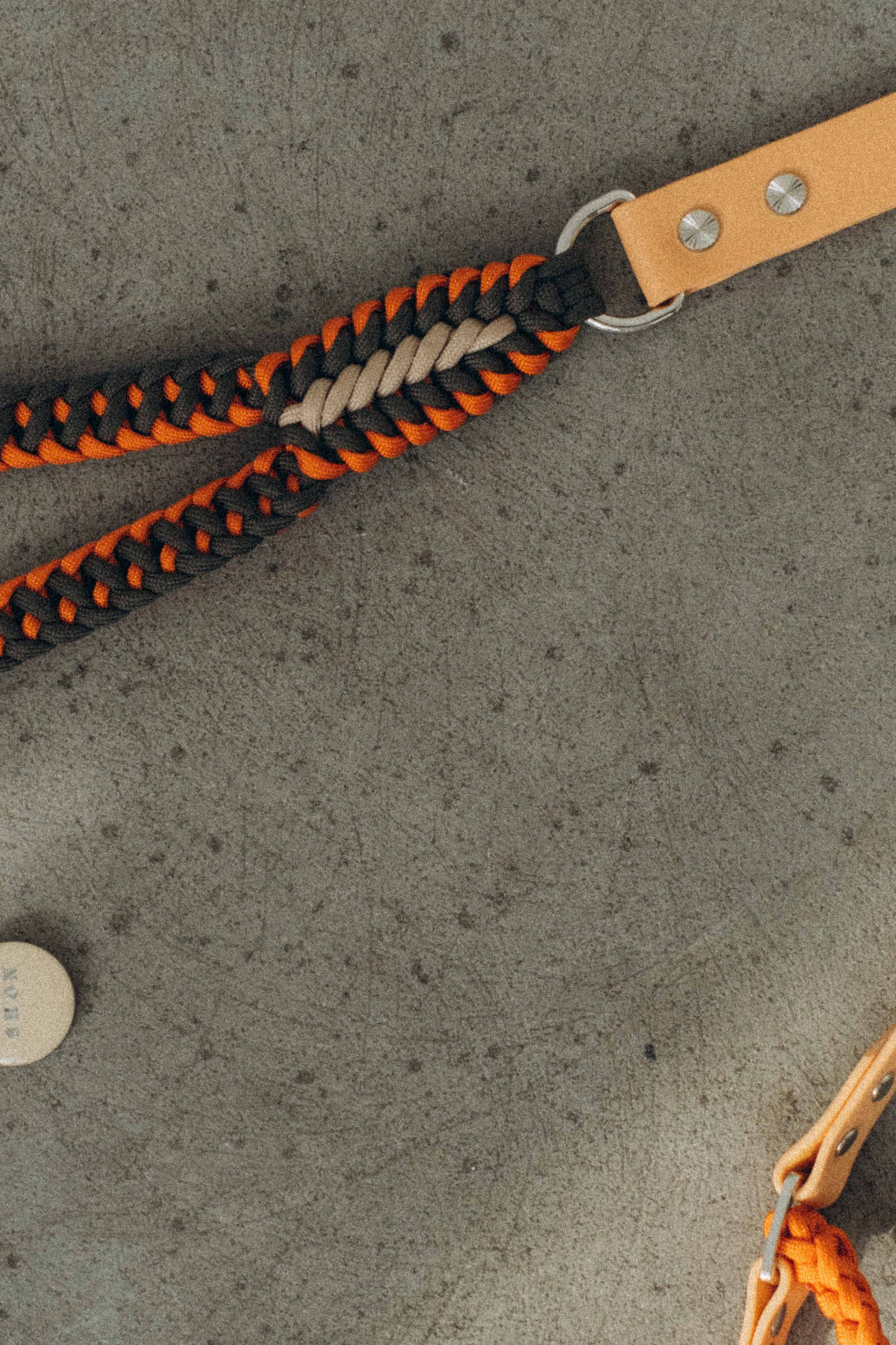 Отзывы. Семейный фотограф и анималист в Москве Анна Иванова