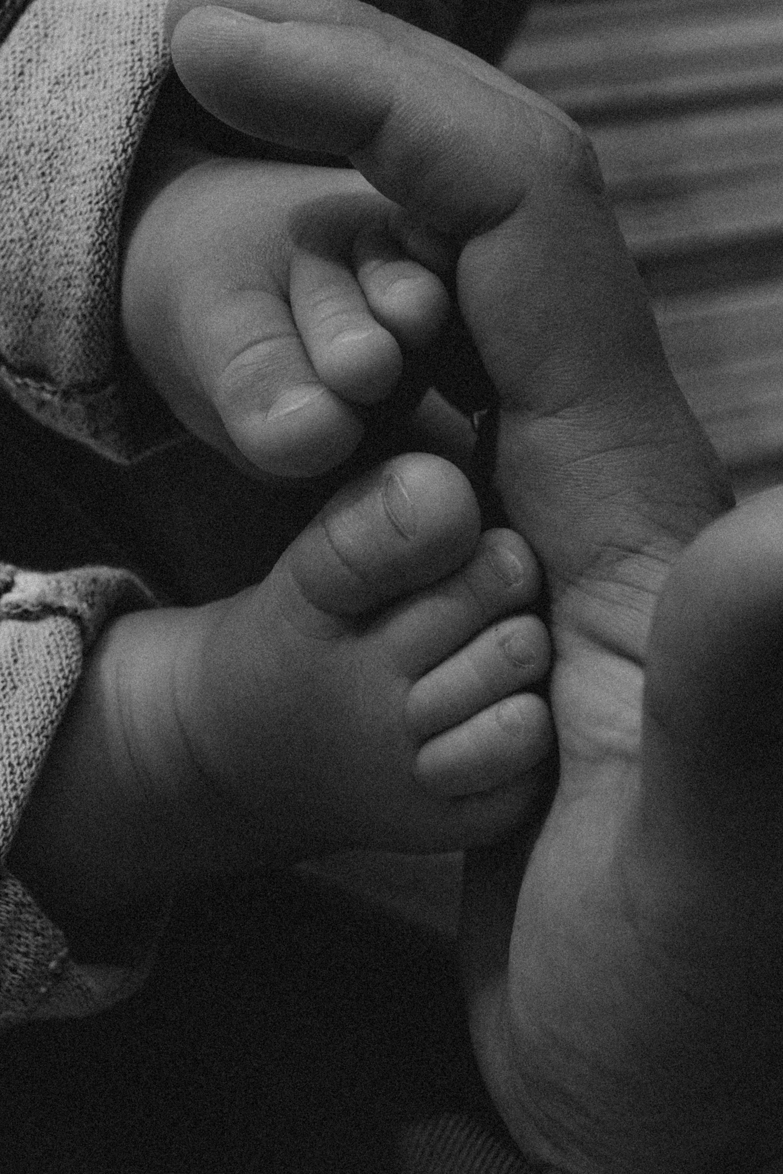 Отзывы. Семейный фотограф и анималист в Москве Анна Иванова