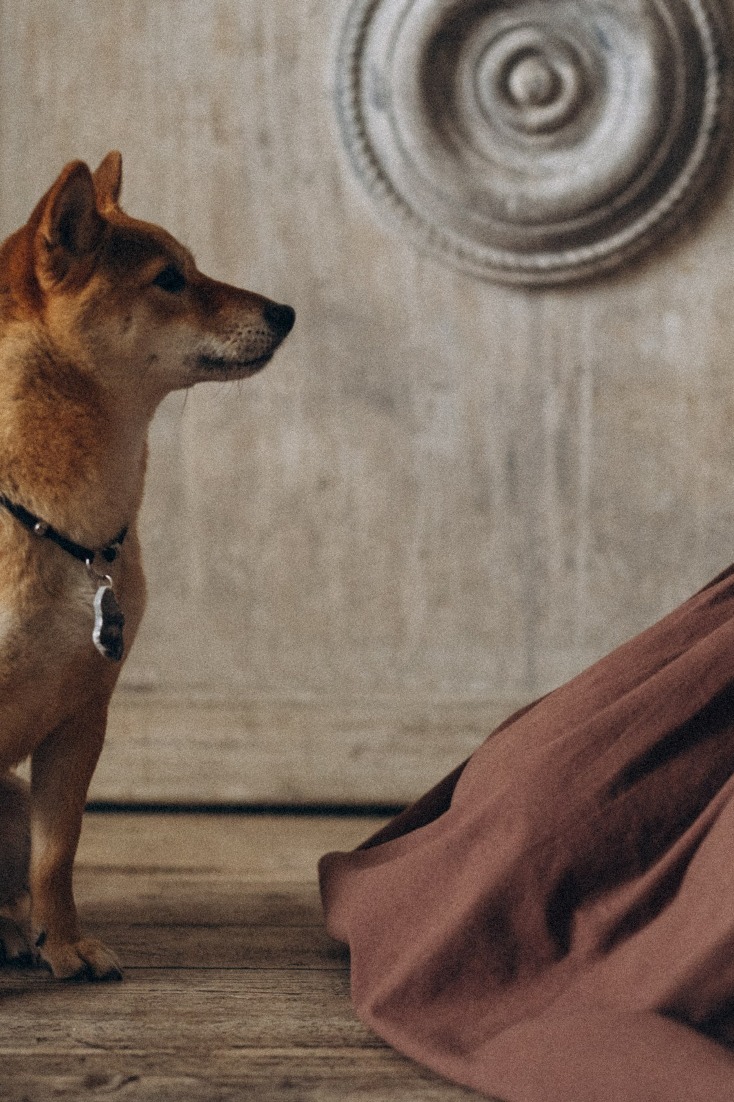 Отзывы. Семейный фотограф и анималист в Москве Анна Иванова