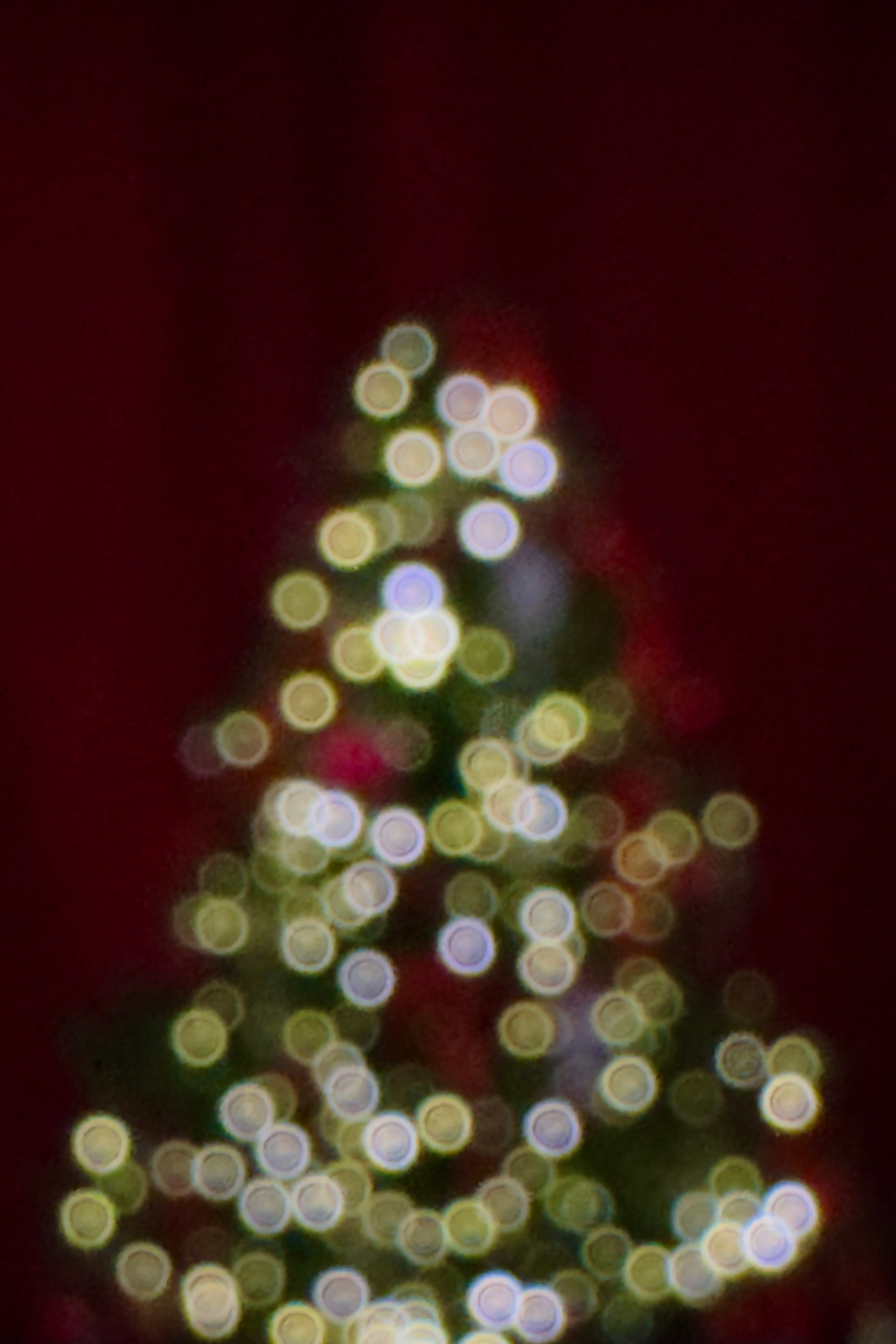 6.09.2025. Фотограф видеограф в Москве и Московской области Саша Секрет