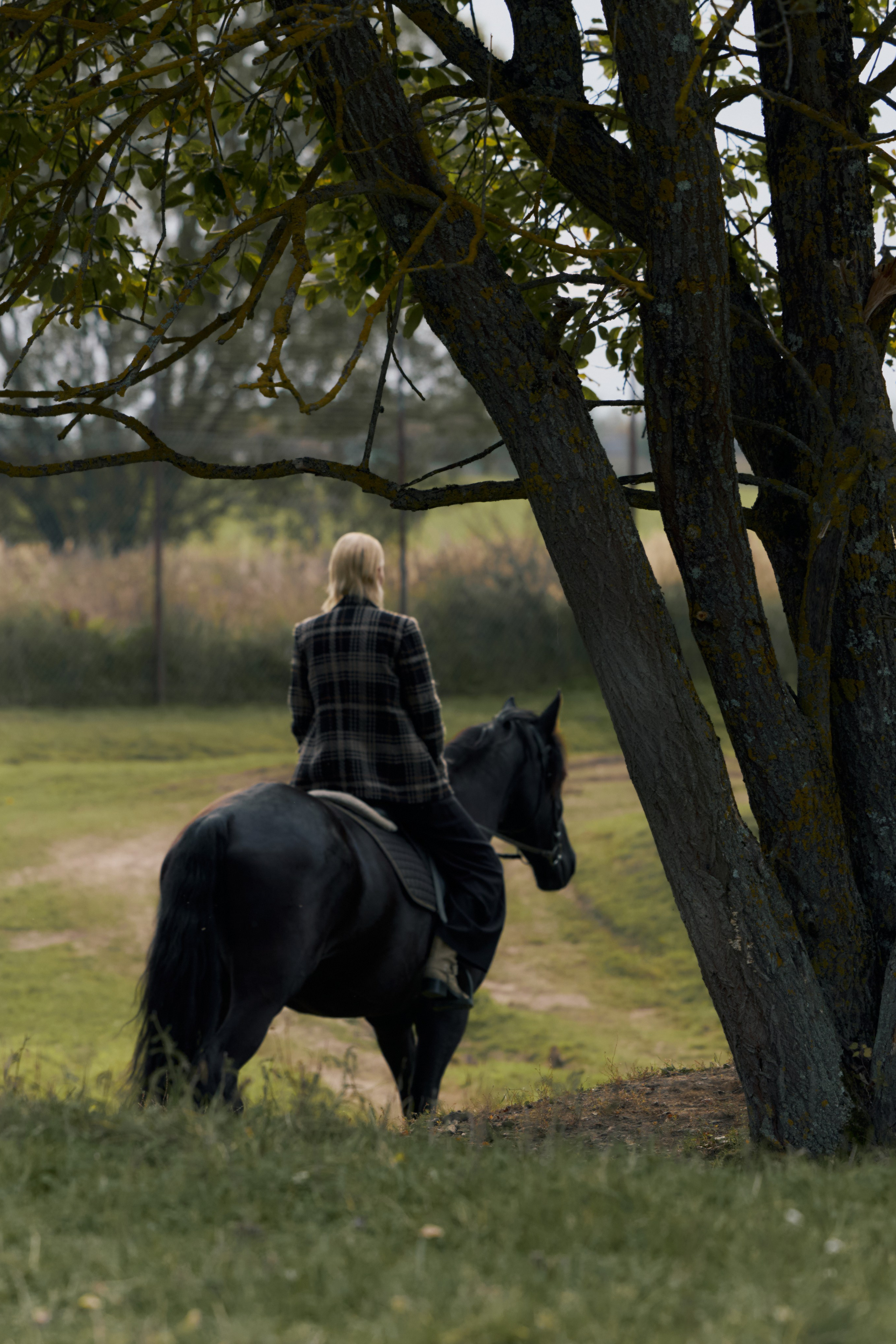 LIFE IN FOREST | TO BE ONE. CONINCON PRODUCTION