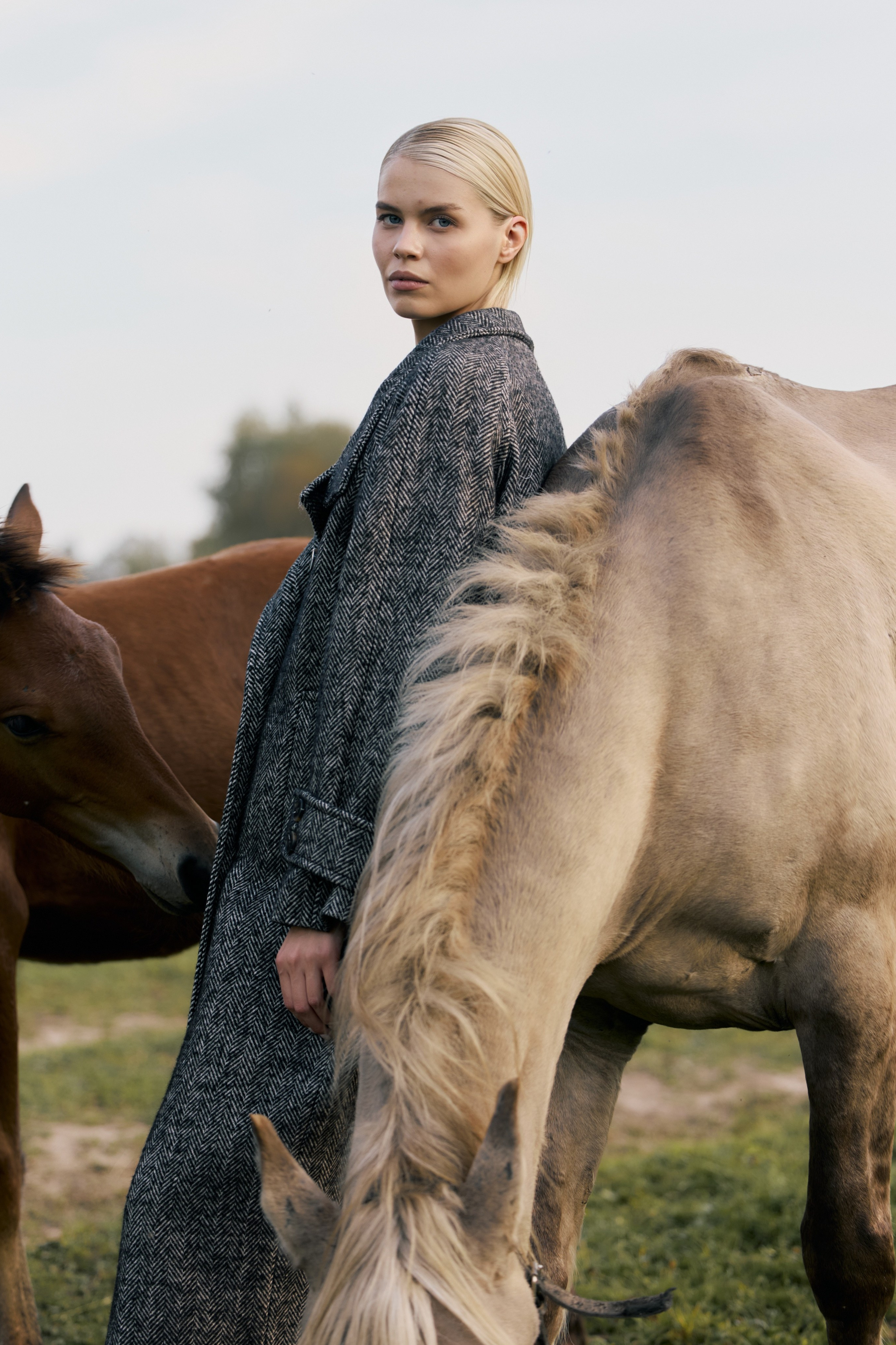 LIFE IN FOREST | TO BE ONE. CONINCON PRODUCTION