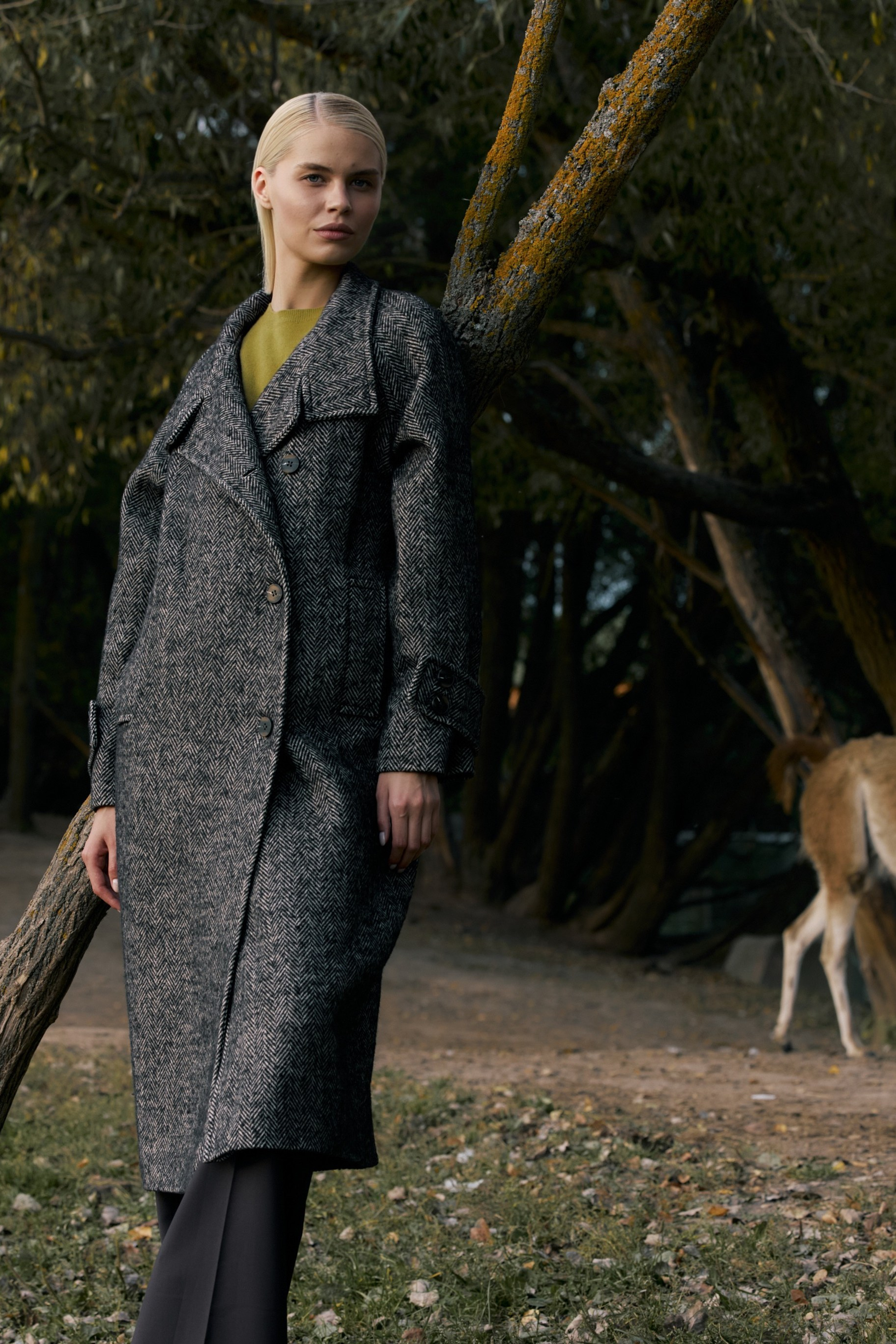 LIFE IN FOREST | TO BE ONE. CONINCON PRODUCTION