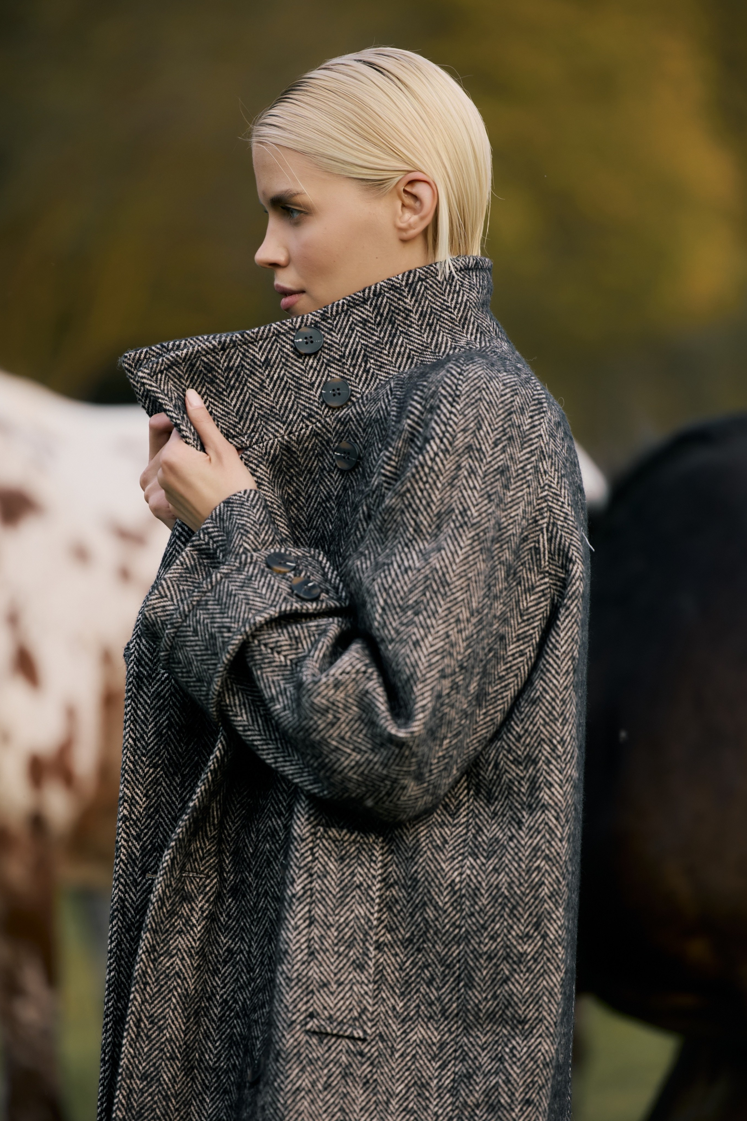 LIFE IN FOREST | TO BE ONE. CONINCON PRODUCTION