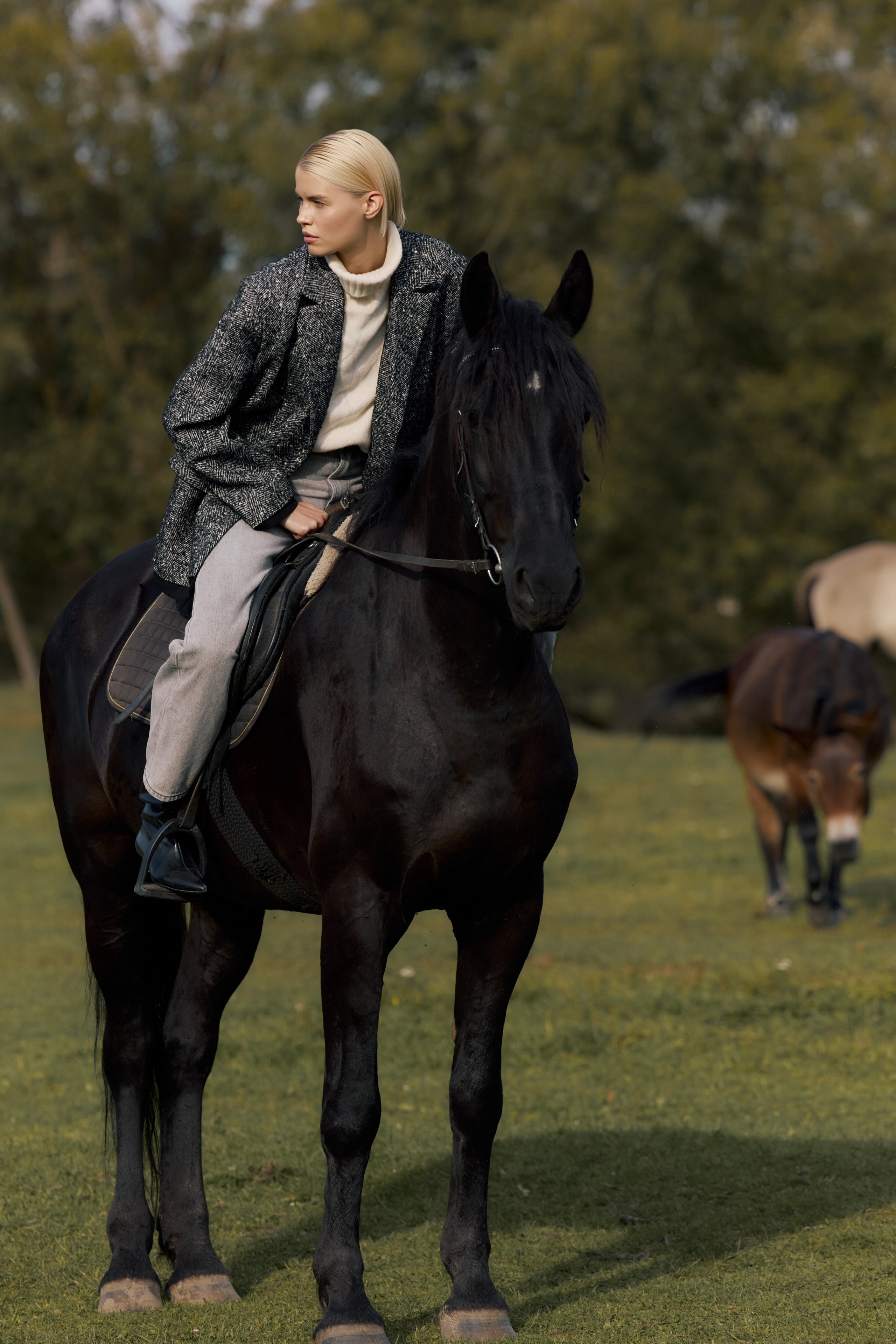 LIFE IN FOREST | TO BE ONE. CONINCON PRODUCTION