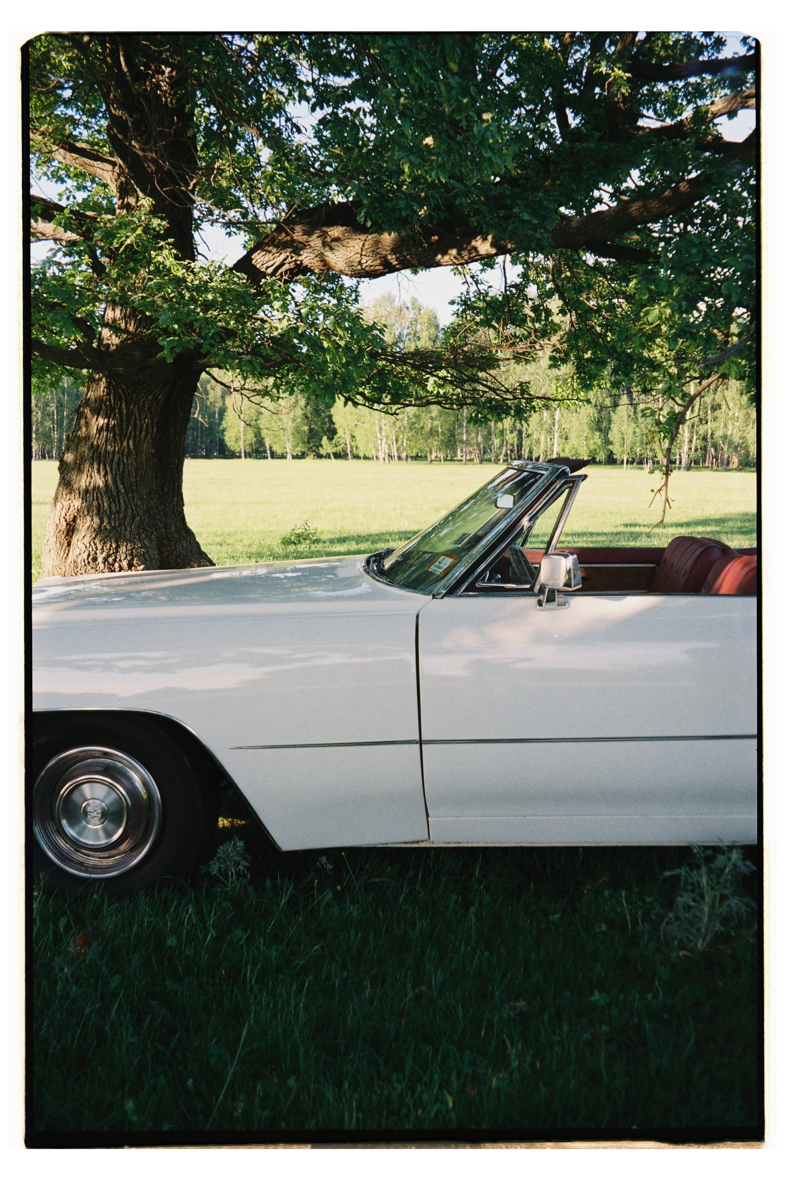 Съёмка на плёнку. Фотограф для брендов в Казани