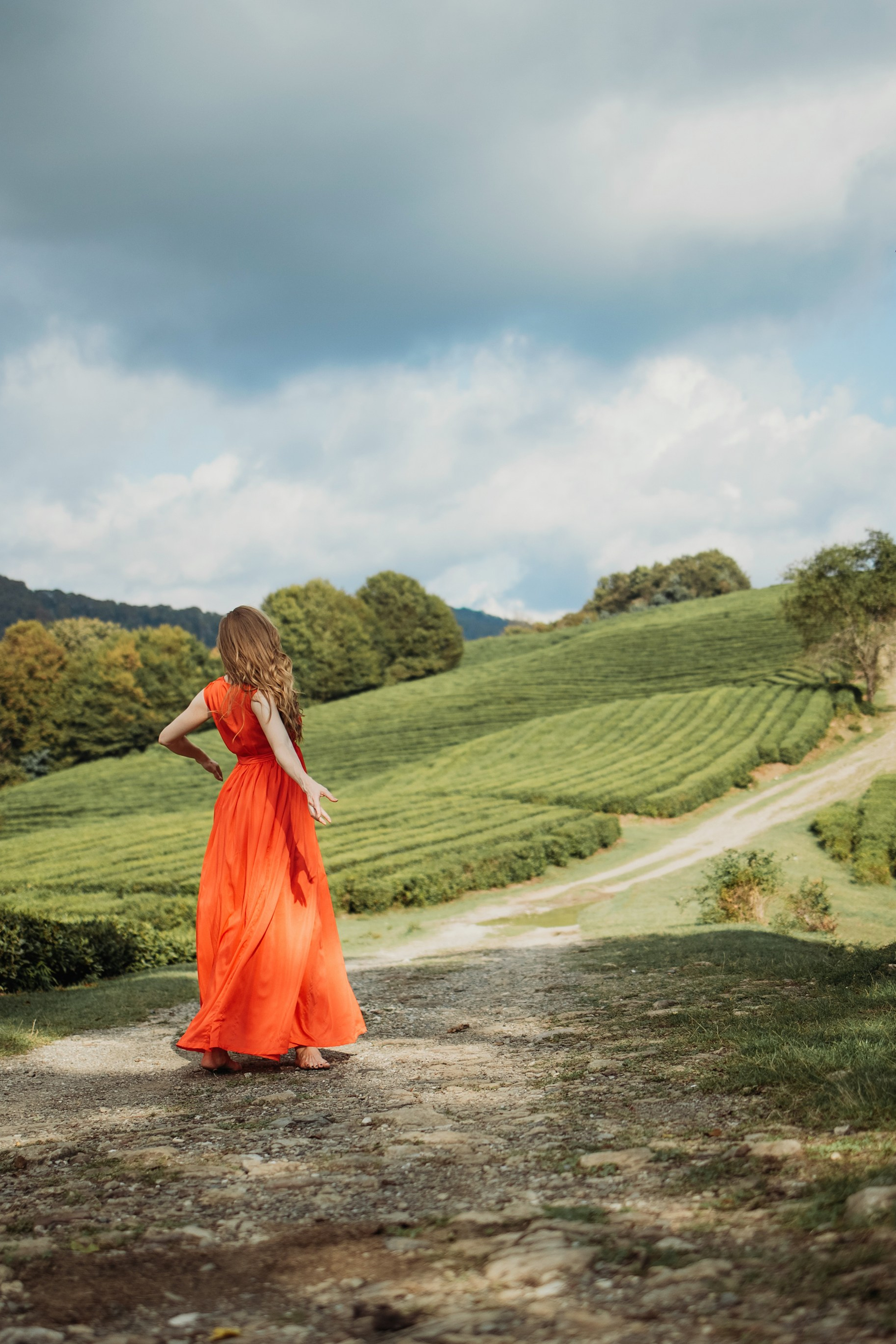 Чайные плантации мацеста