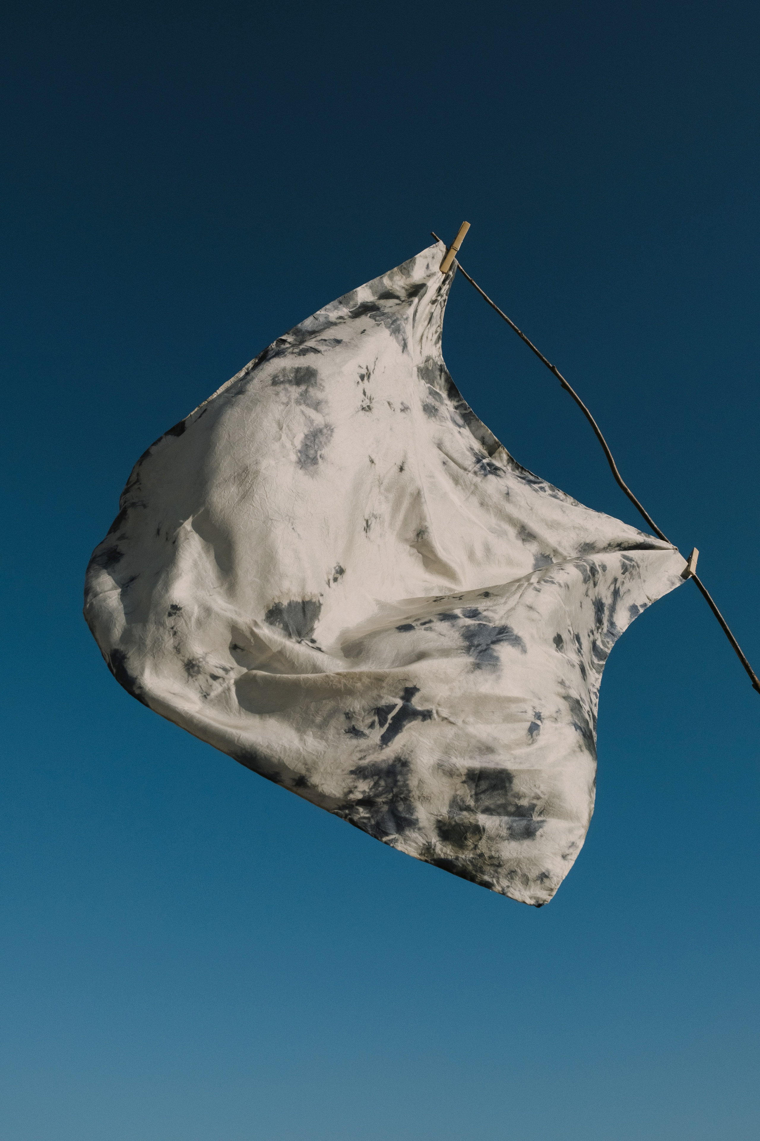 STILL ART. Elizaveta Khlebnikova Photographer