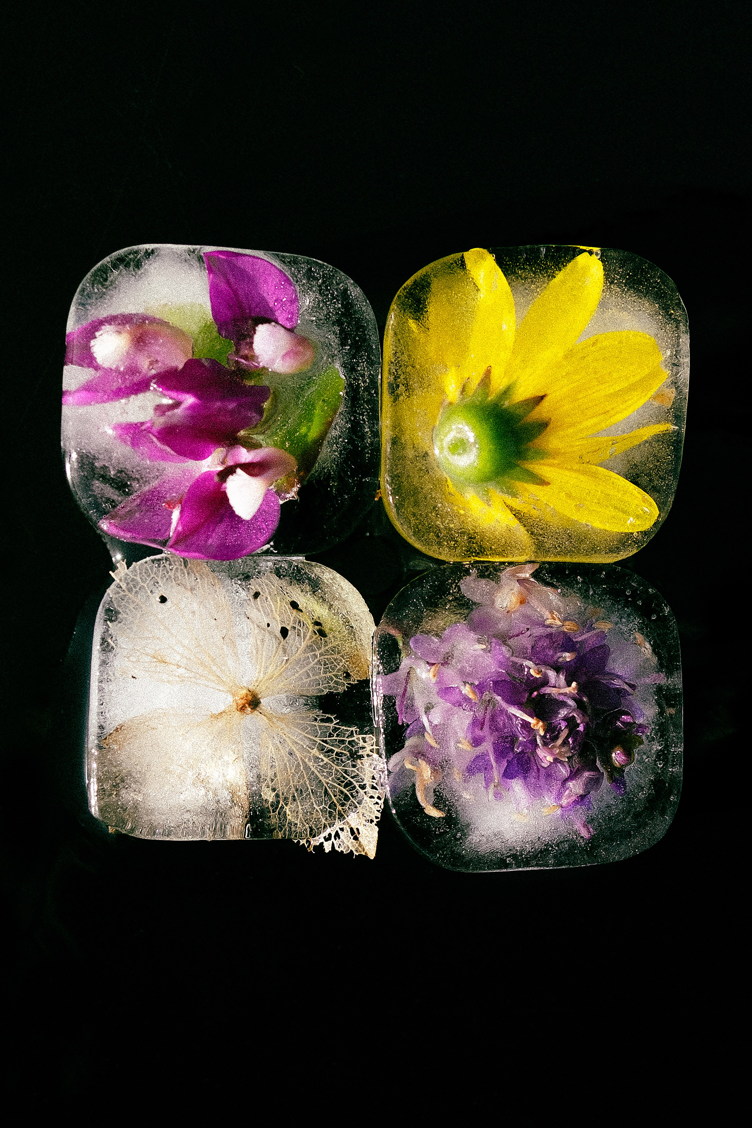 STILL LIFE. Elizaveta Khlebnikova Photographer