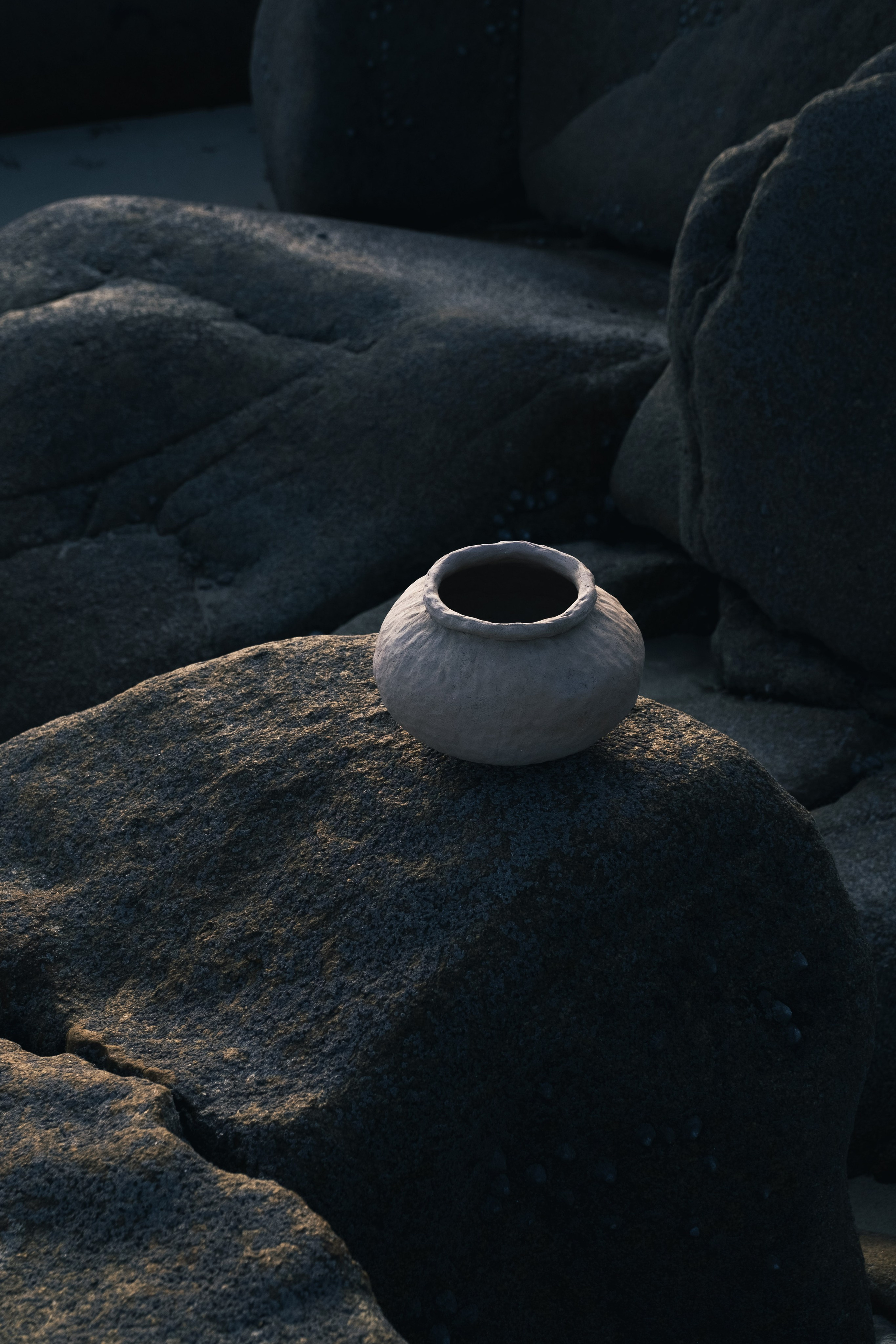 STILL ART. Elizaveta Khlebnikova Photographer