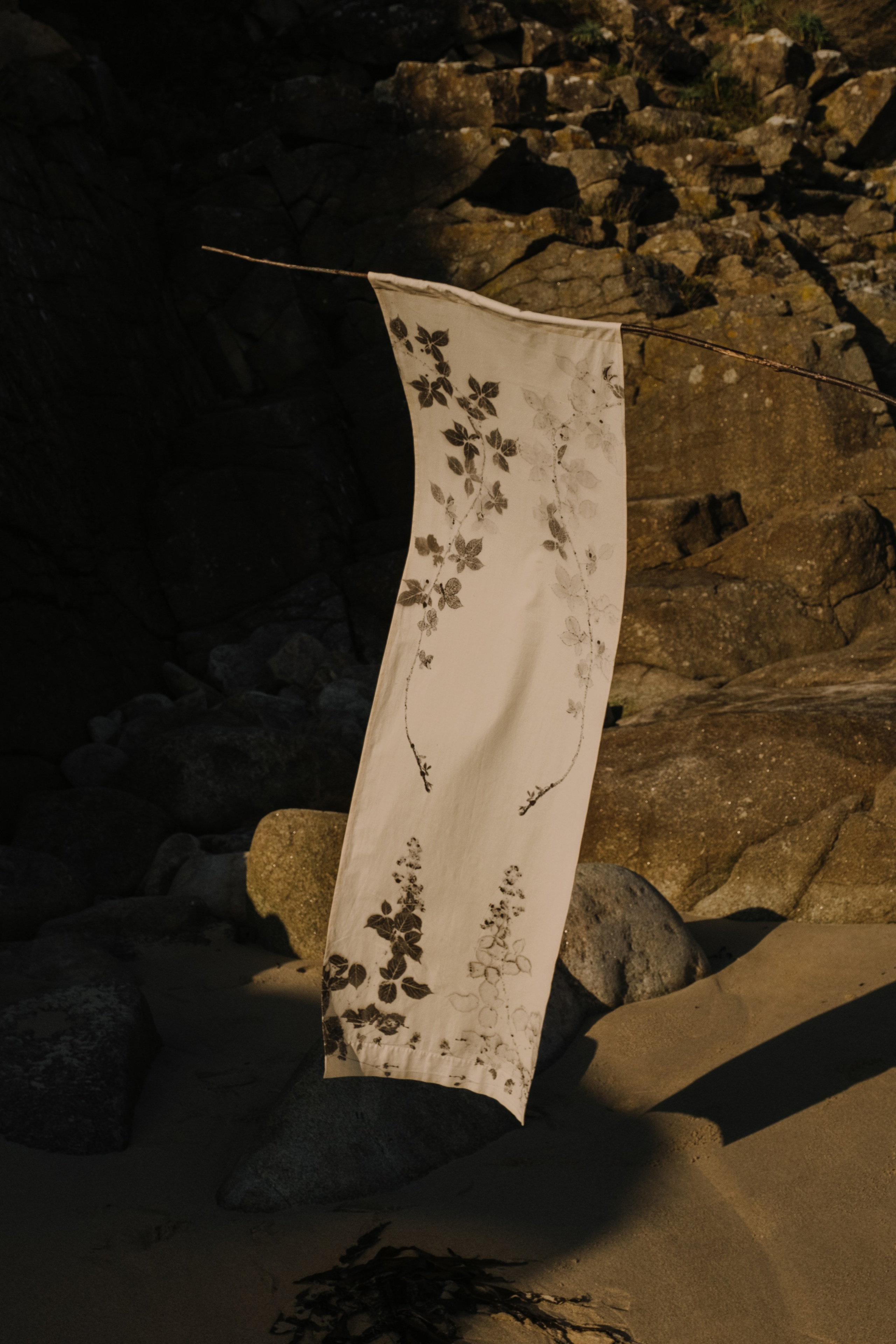 STILL ART. Elizaveta Khlebnikova Photographer