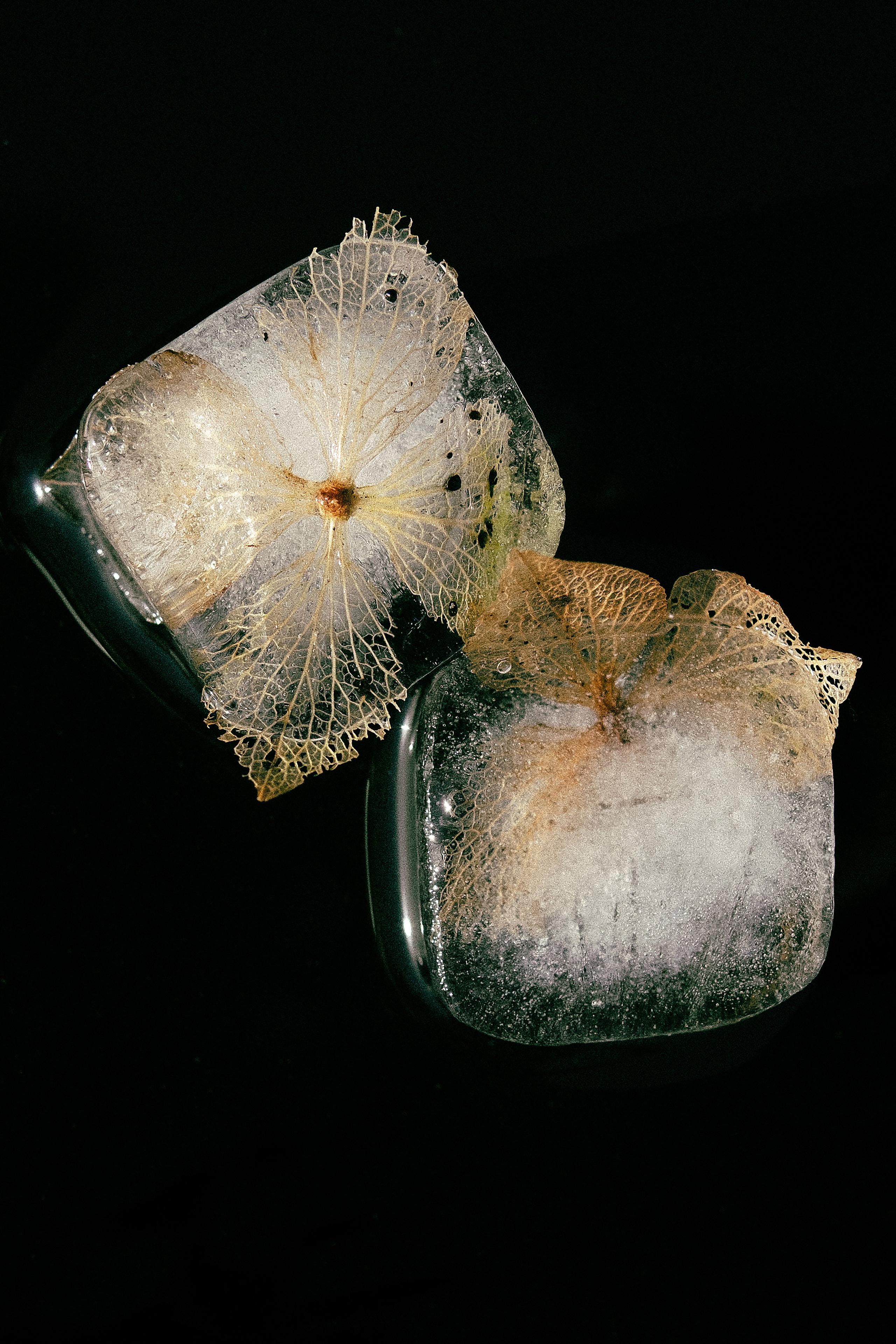 STILL LIFE. Elizaveta Khlebnikova Photographer