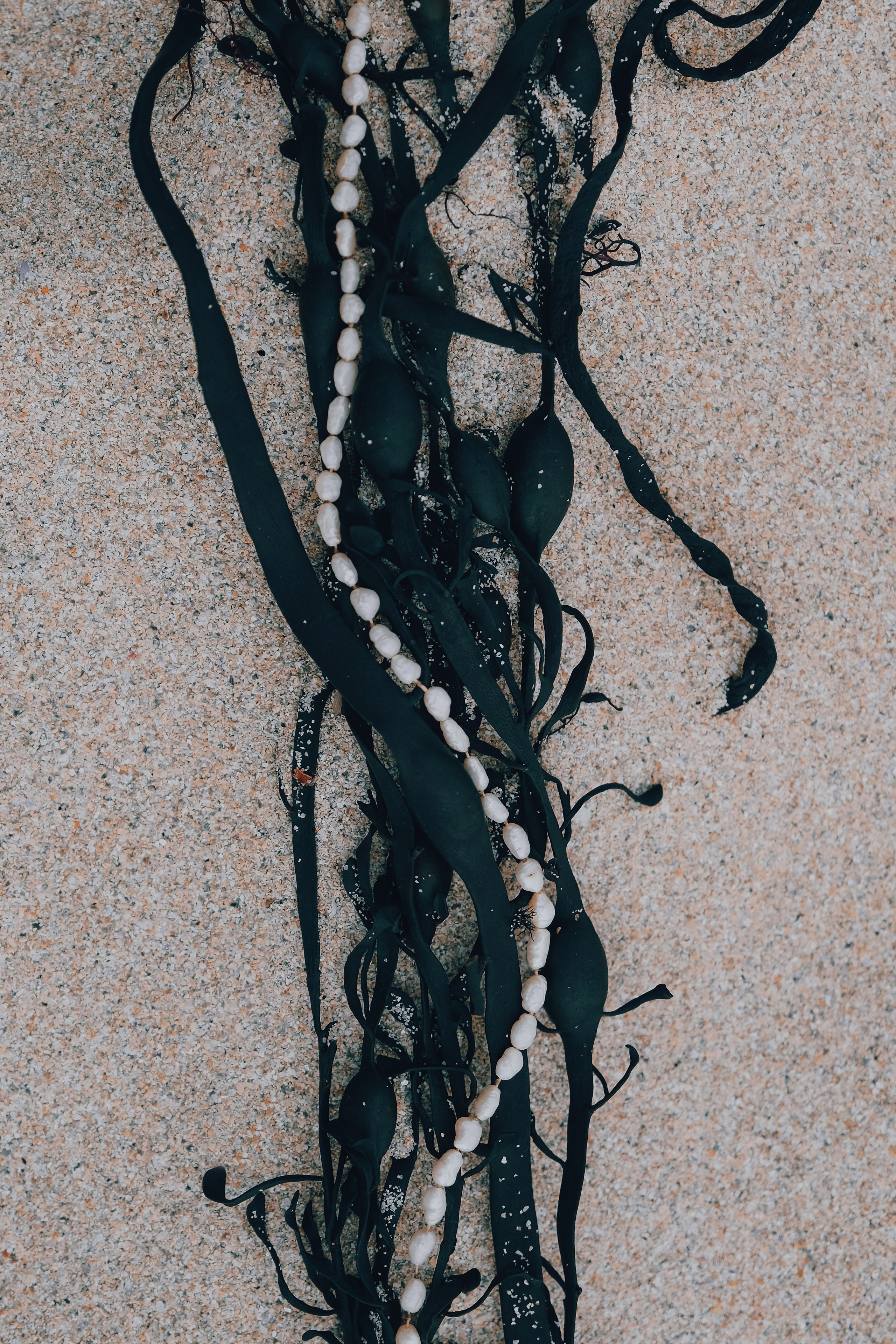 PERLES. Elizaveta Khlebnikova Photographer