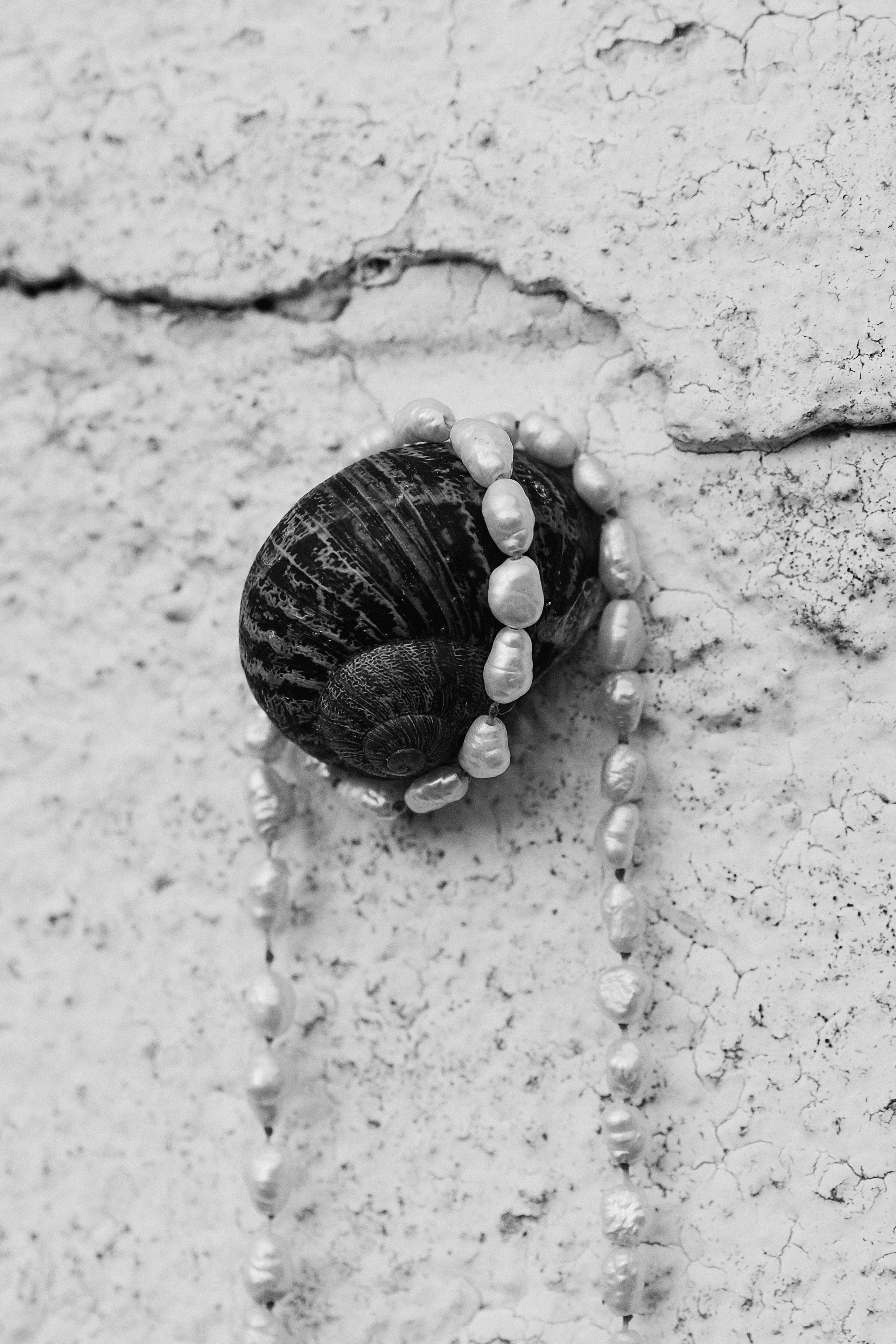 PERLES. Elizaveta Khlebnikova Photographer