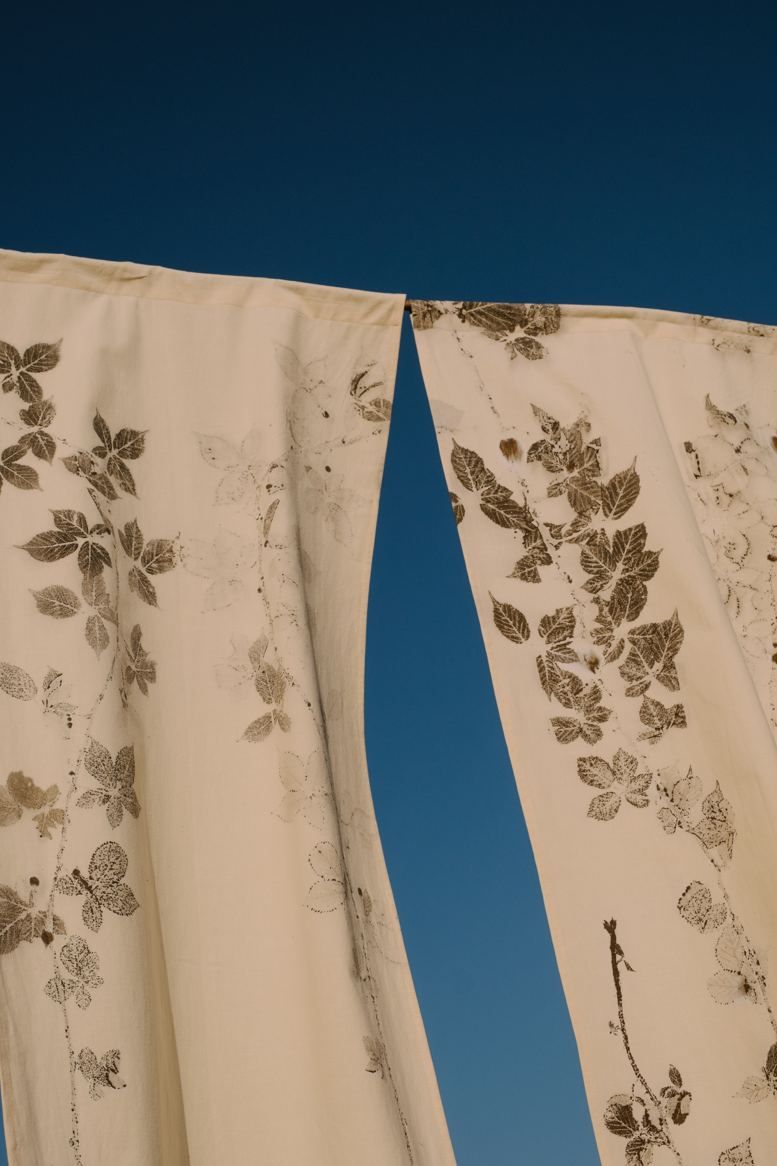 STILL ART. Elizaveta Khlebnikova Photographer