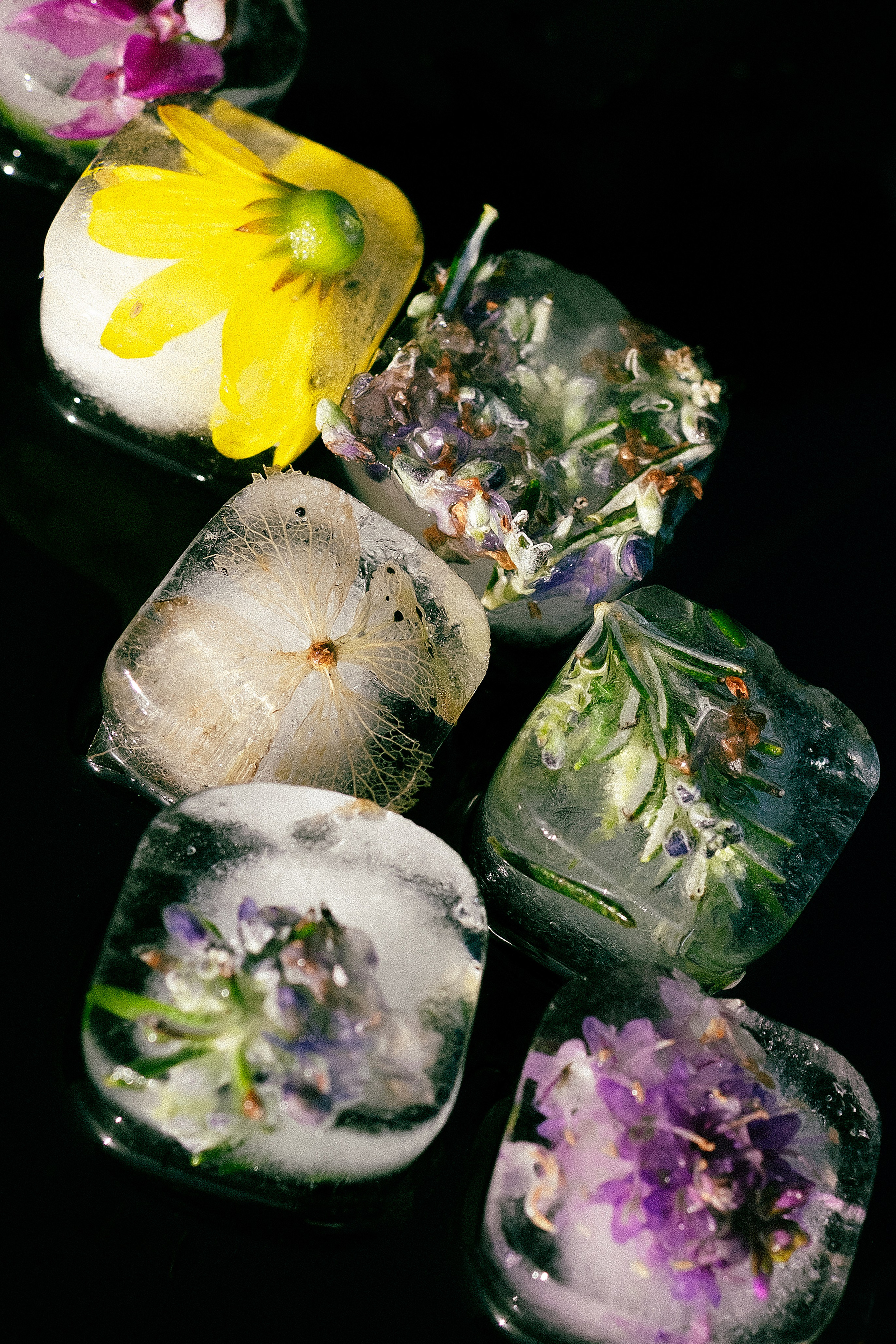 STILL LIFE. Elizaveta Khlebnikova Photographer