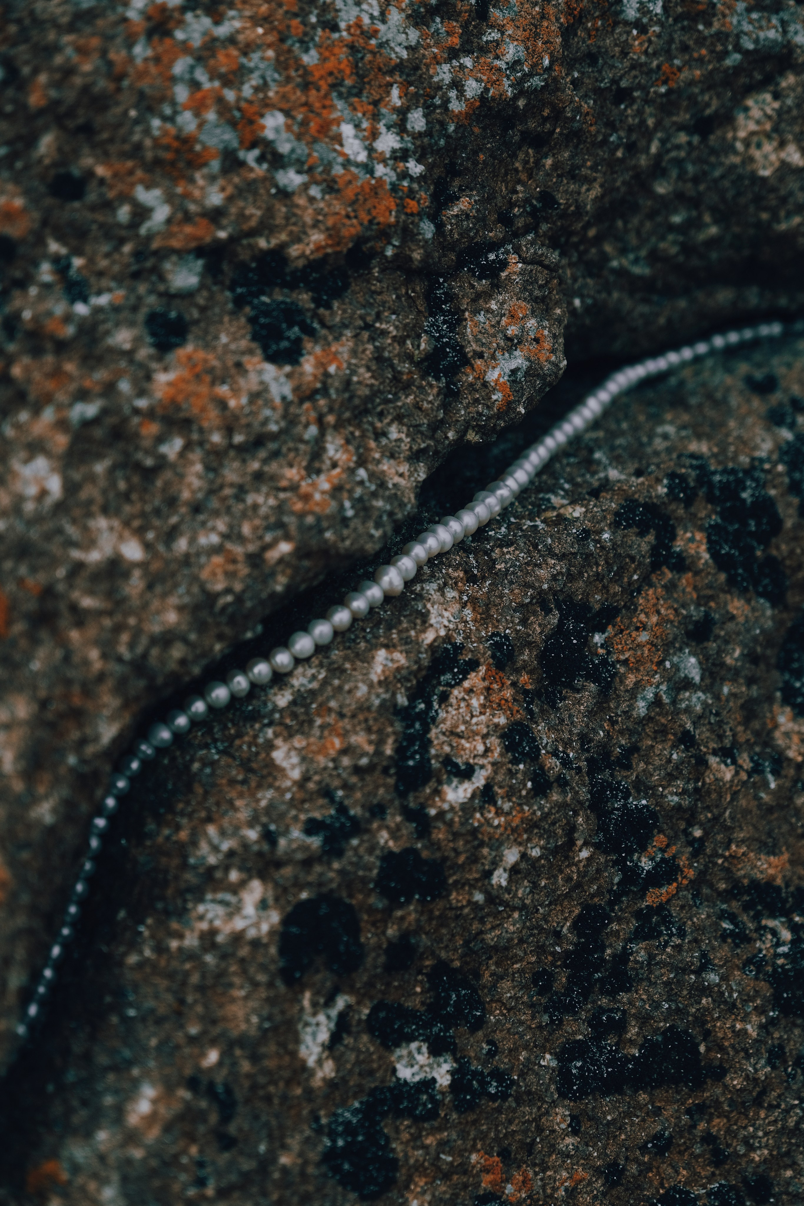 PERLES. Elizaveta Khlebnikova Photographer