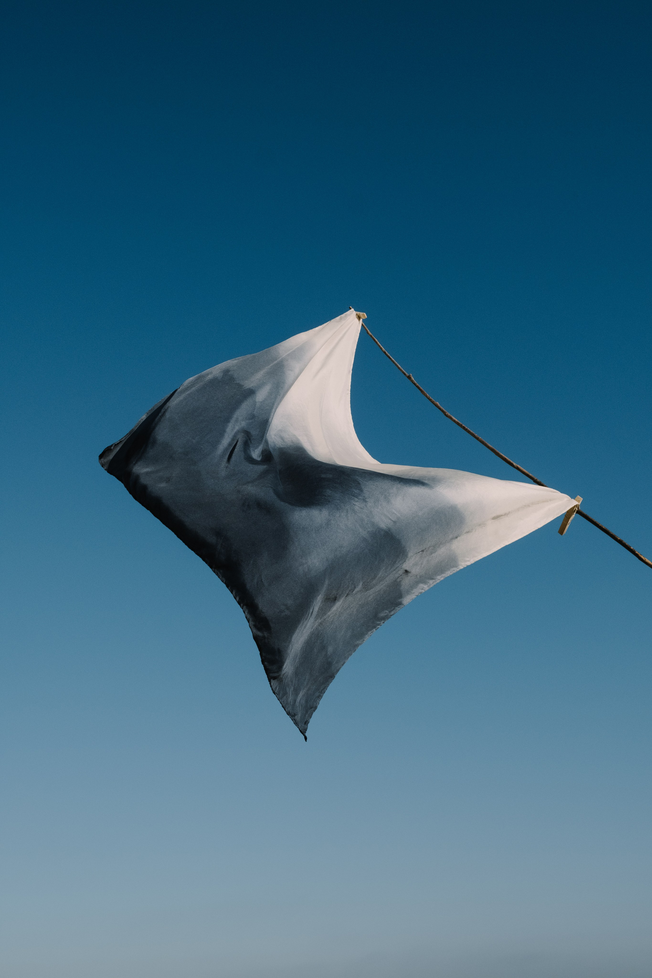 STILL ART. Elizaveta Khlebnikova Photographer