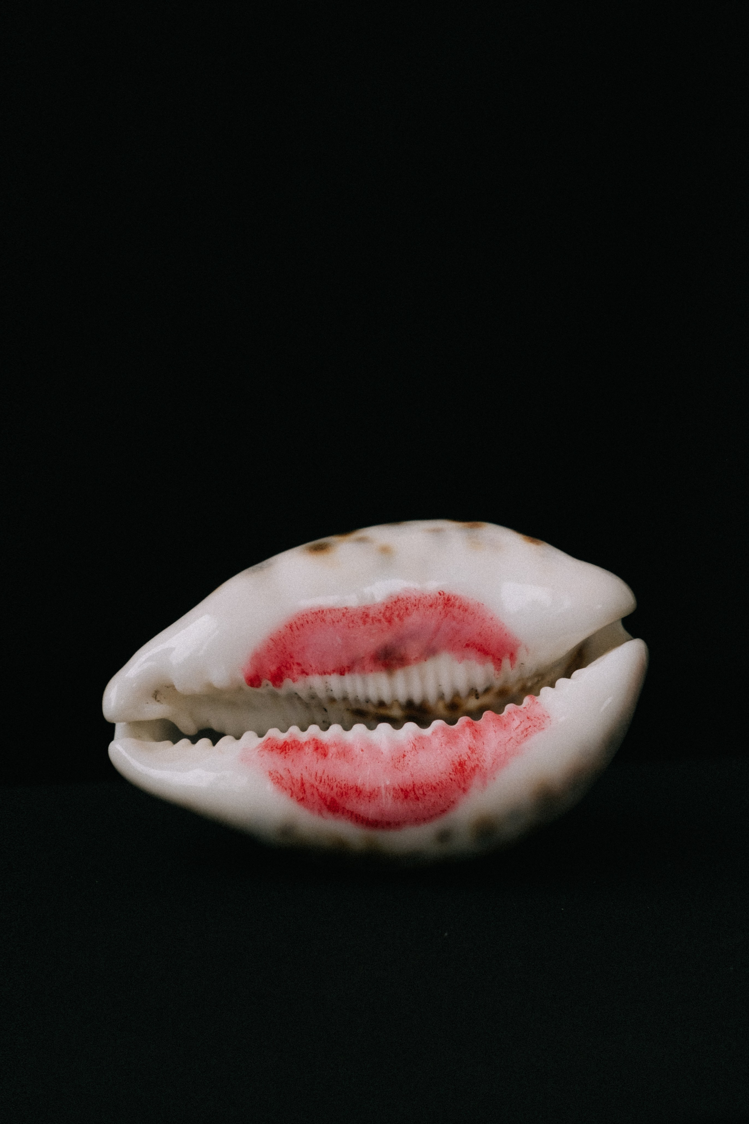 STILL LIFE. Elizaveta Khlebnikova Photographer