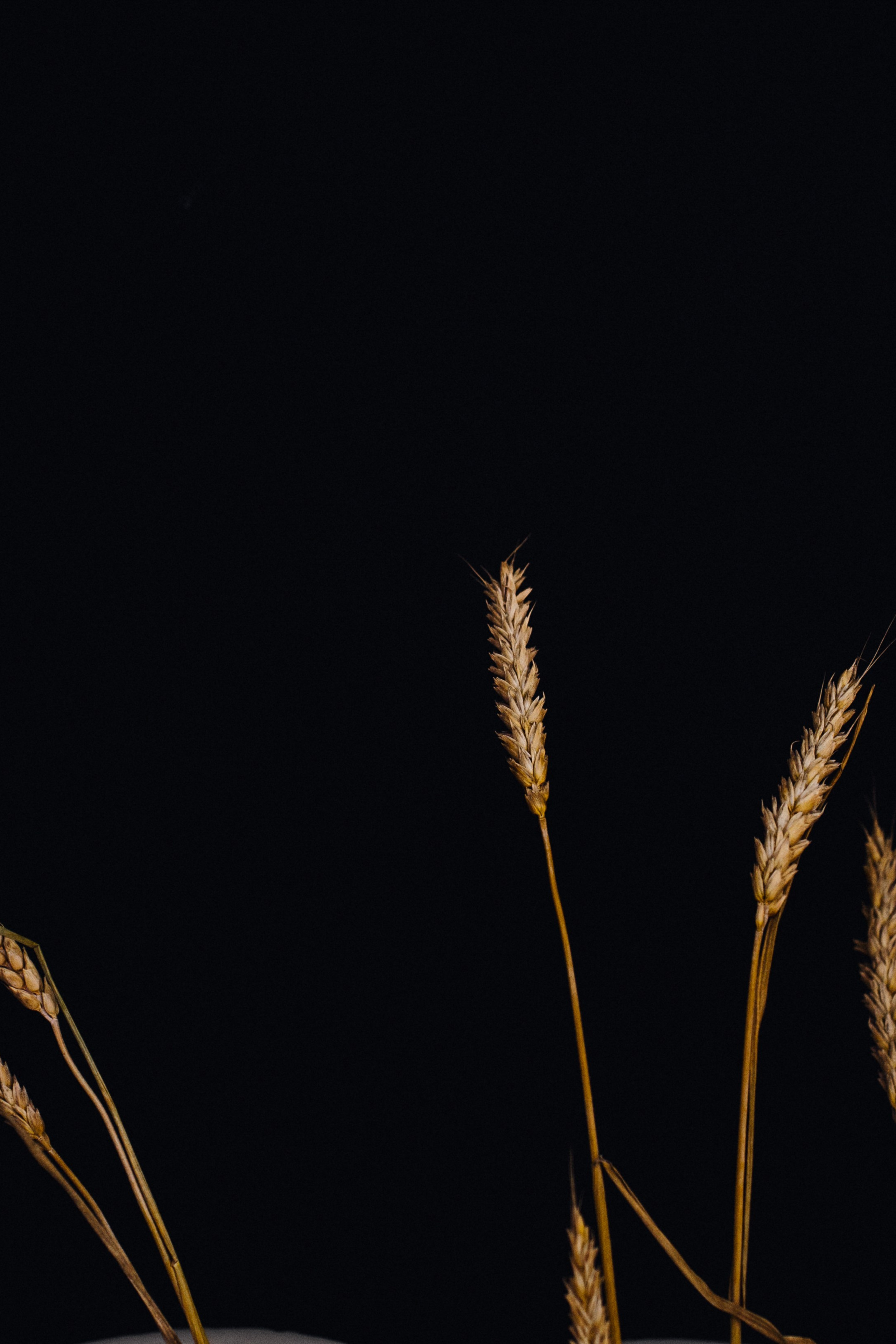 ты просто космос, Стас!