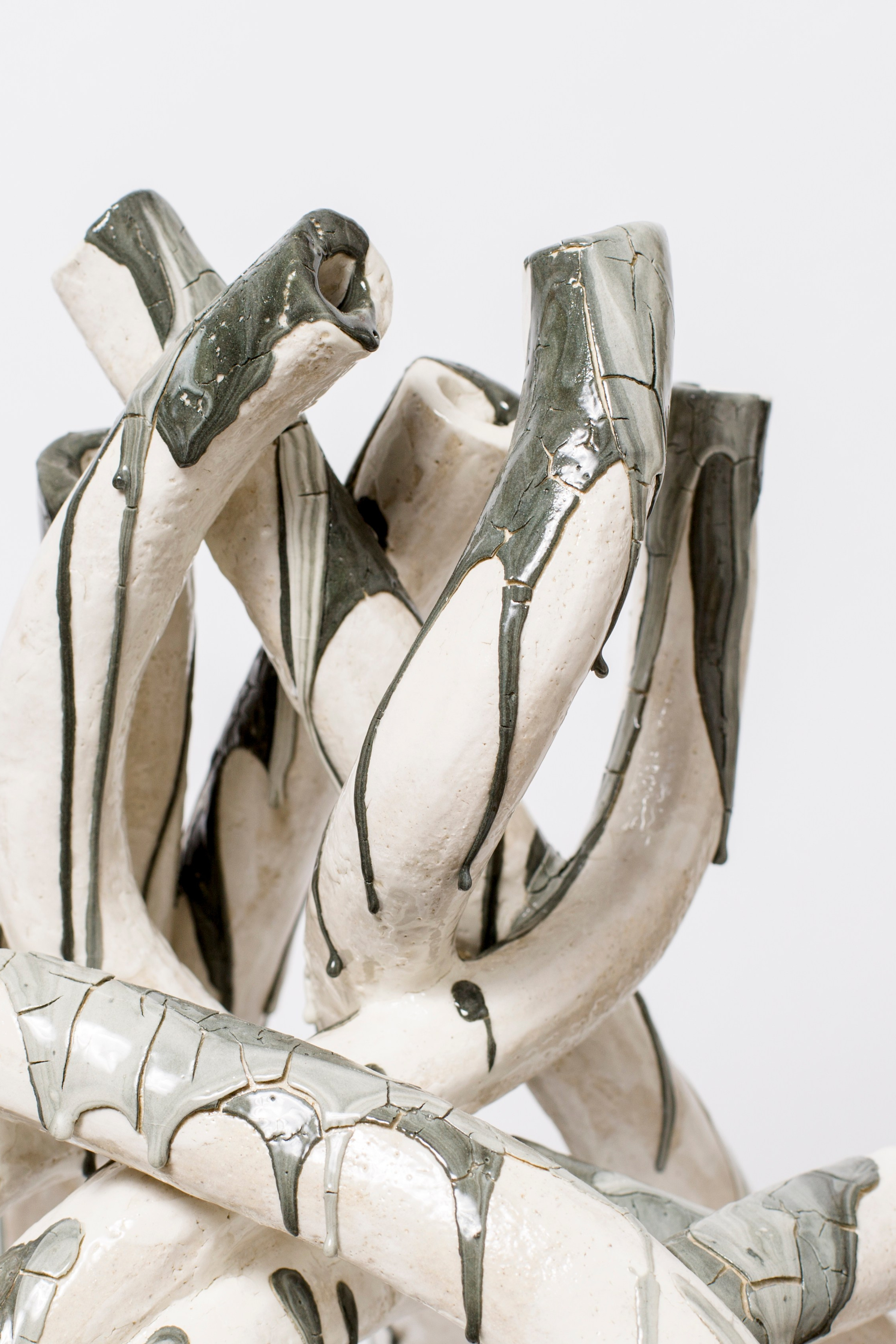 лес после дождя