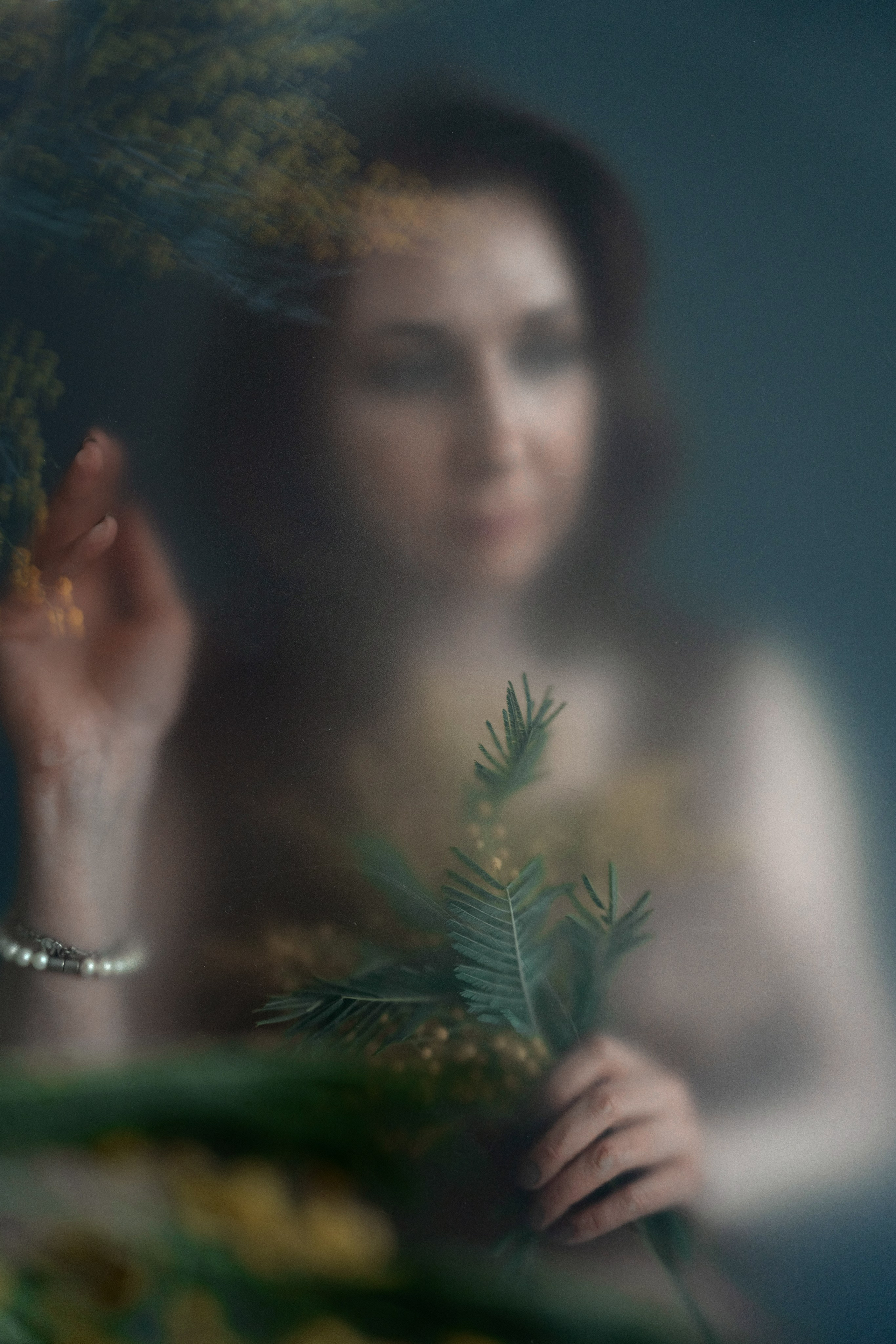 Первая ёлка