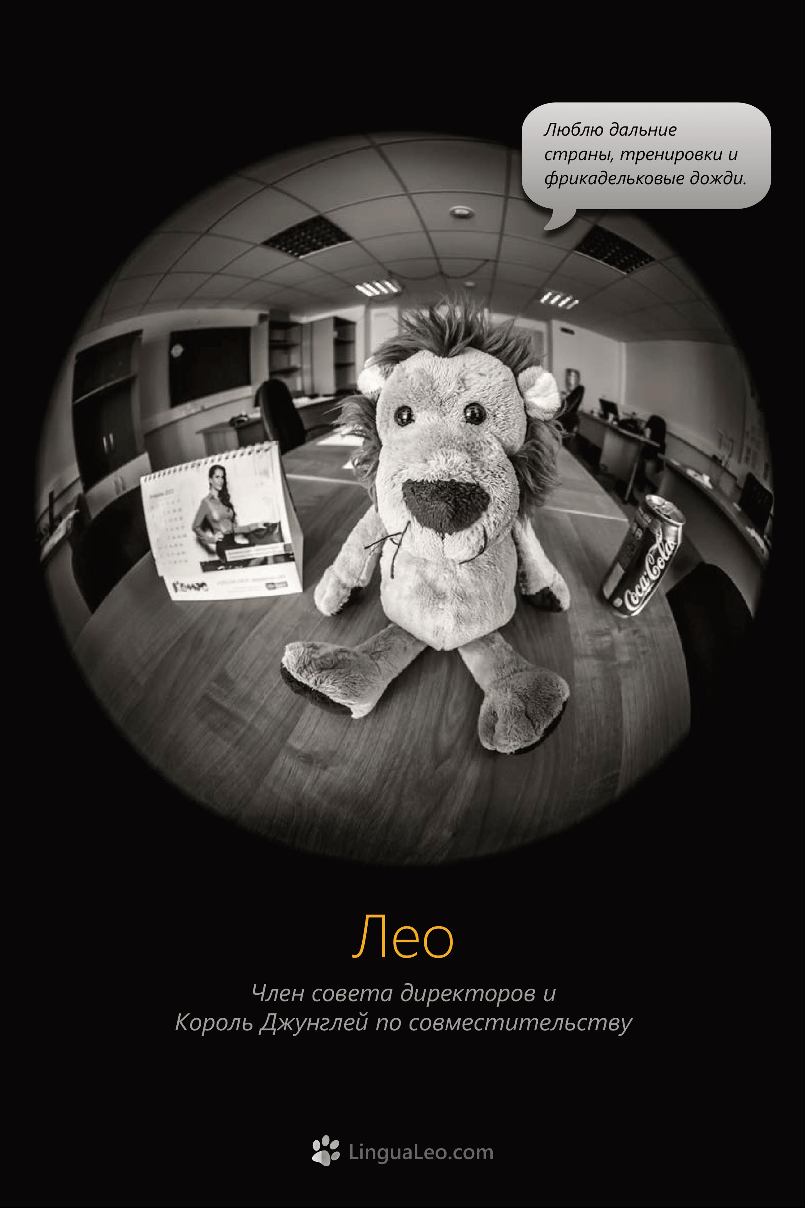 Команда Lingua Leo