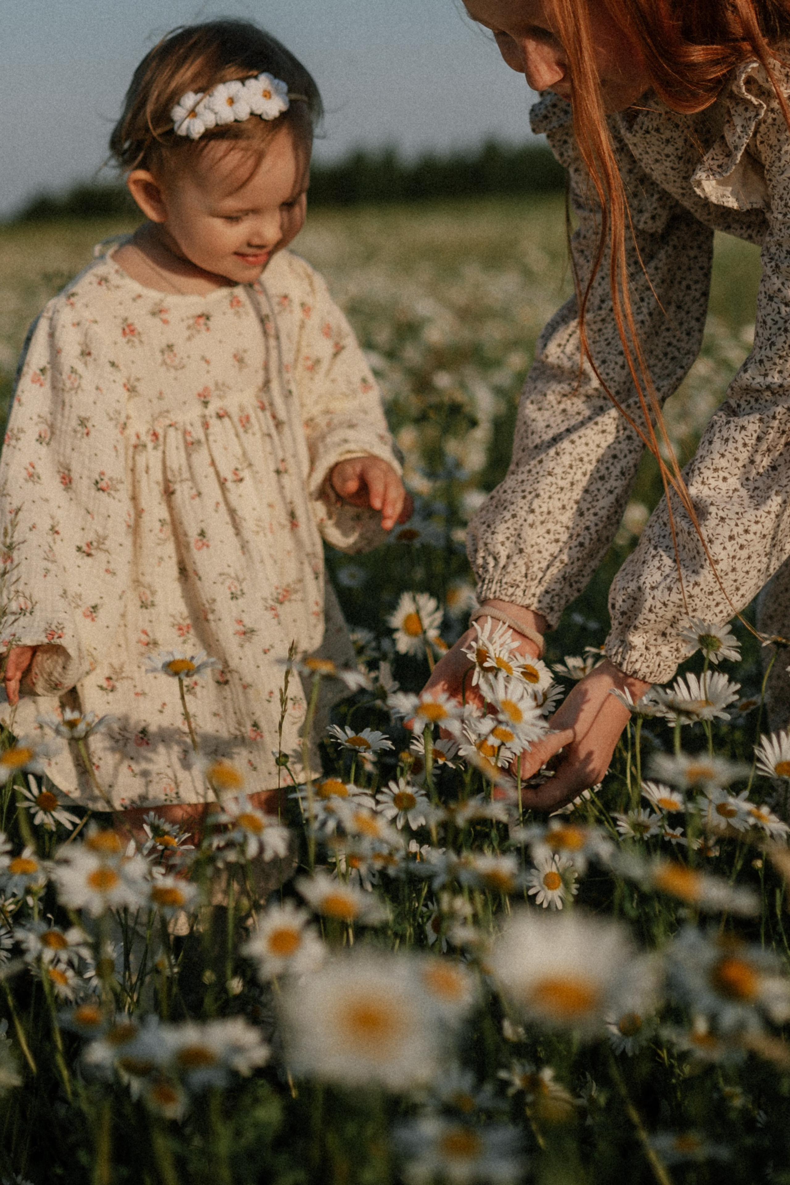 Ида, Мира и&nbsp;ромашки