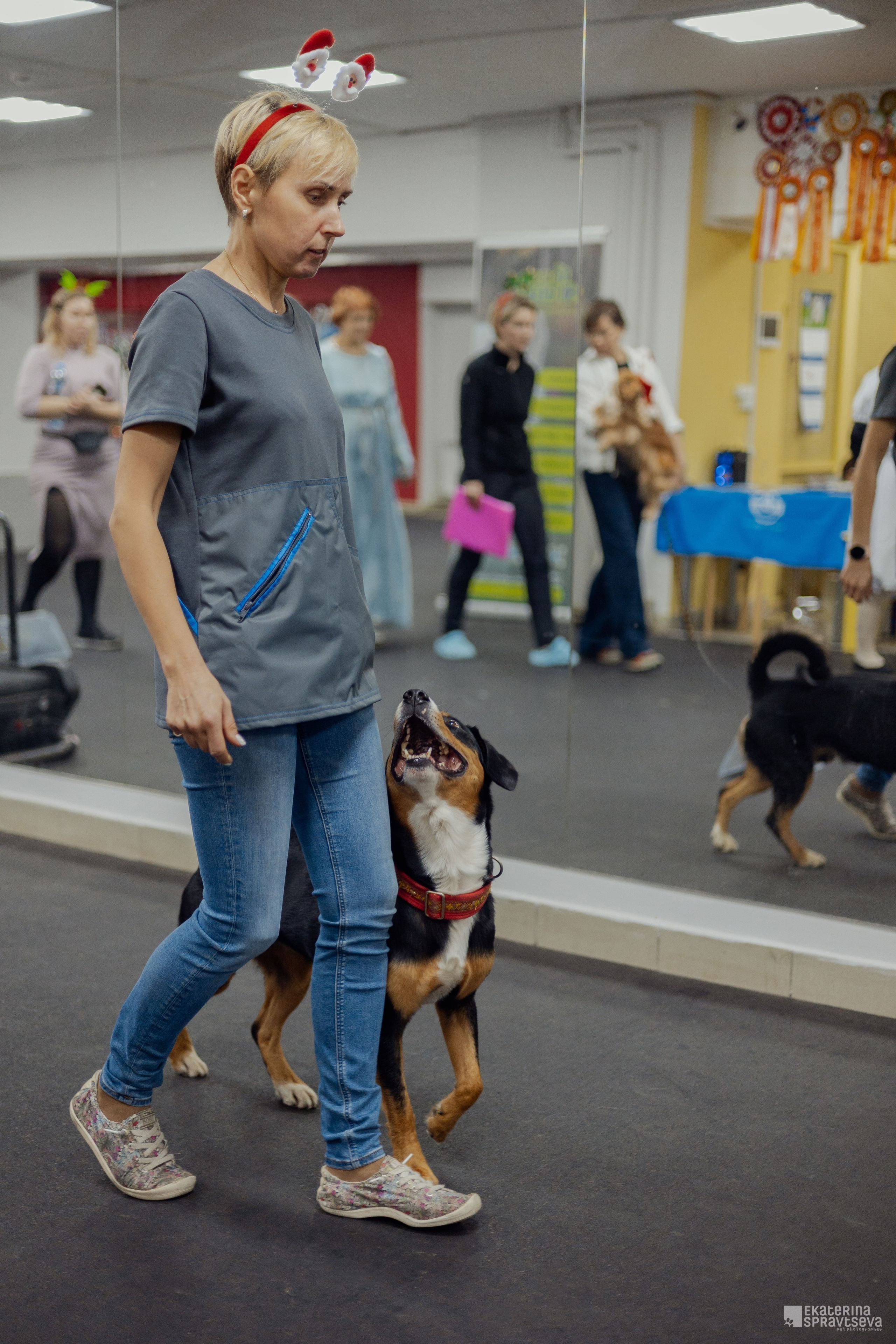 Фото-Истории. Фотограф Анималист Екатерина Справцева в Нижнем Новгороде