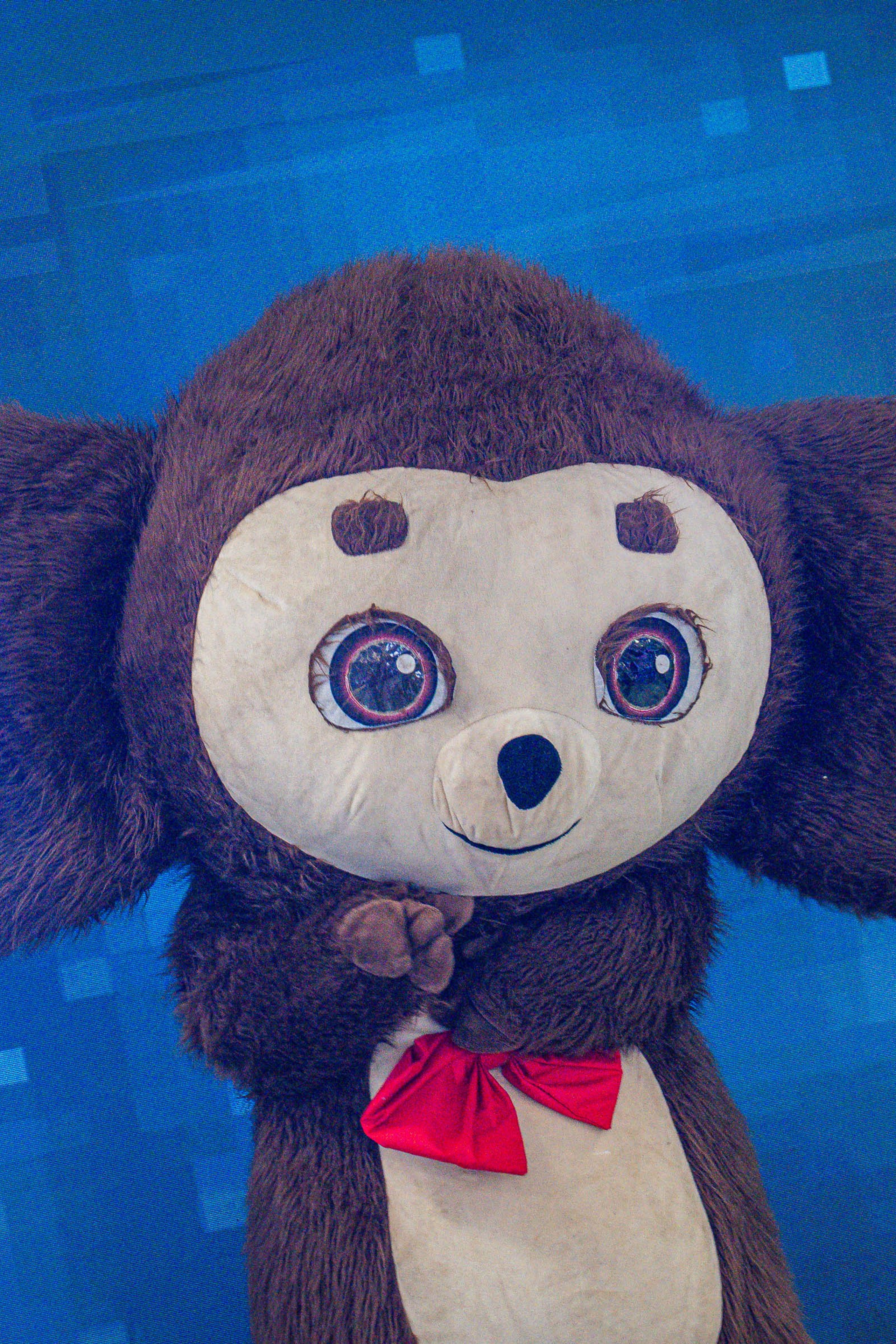 Форум волонтерских объединений