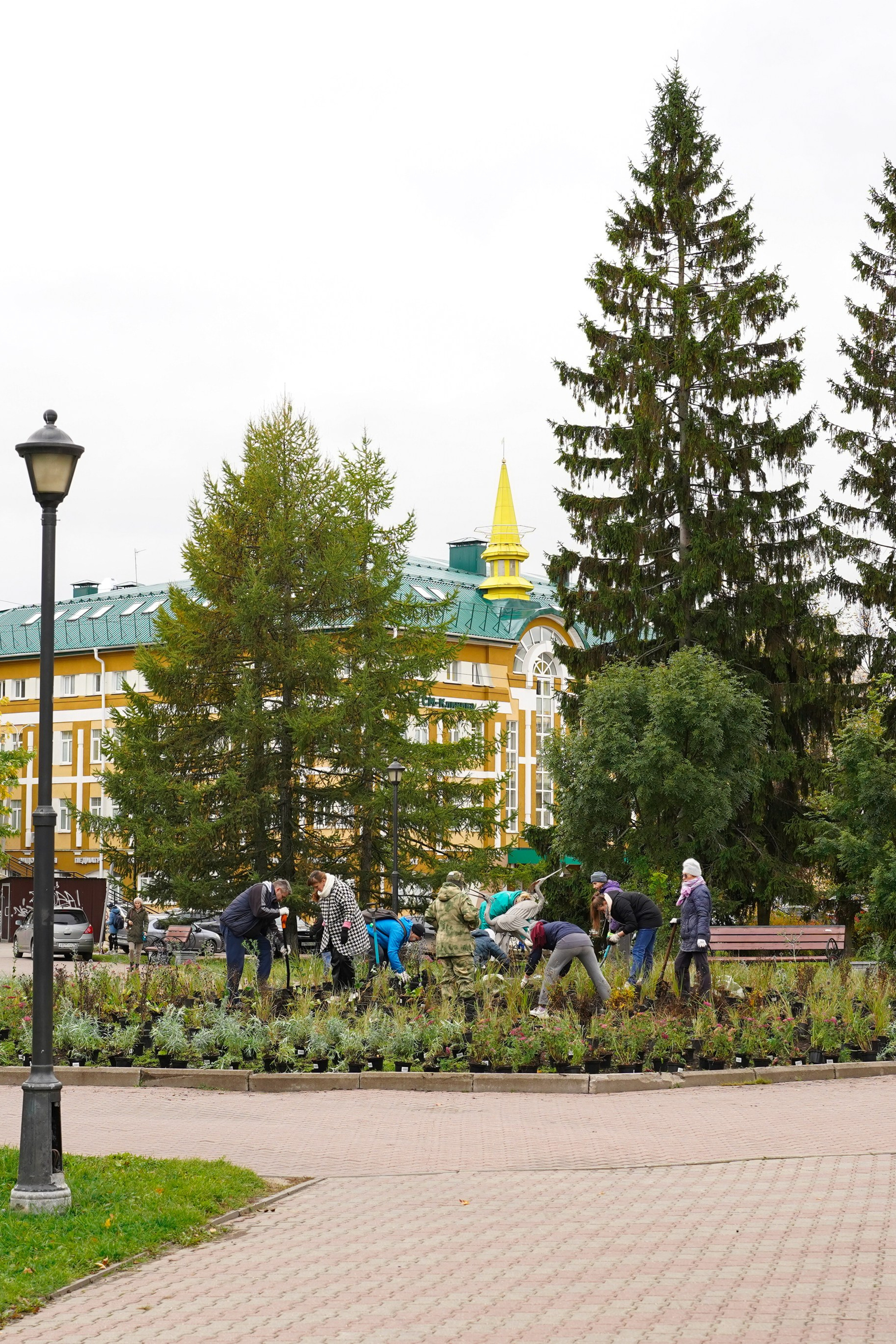 Создание клумбы «Журавлиная заря»