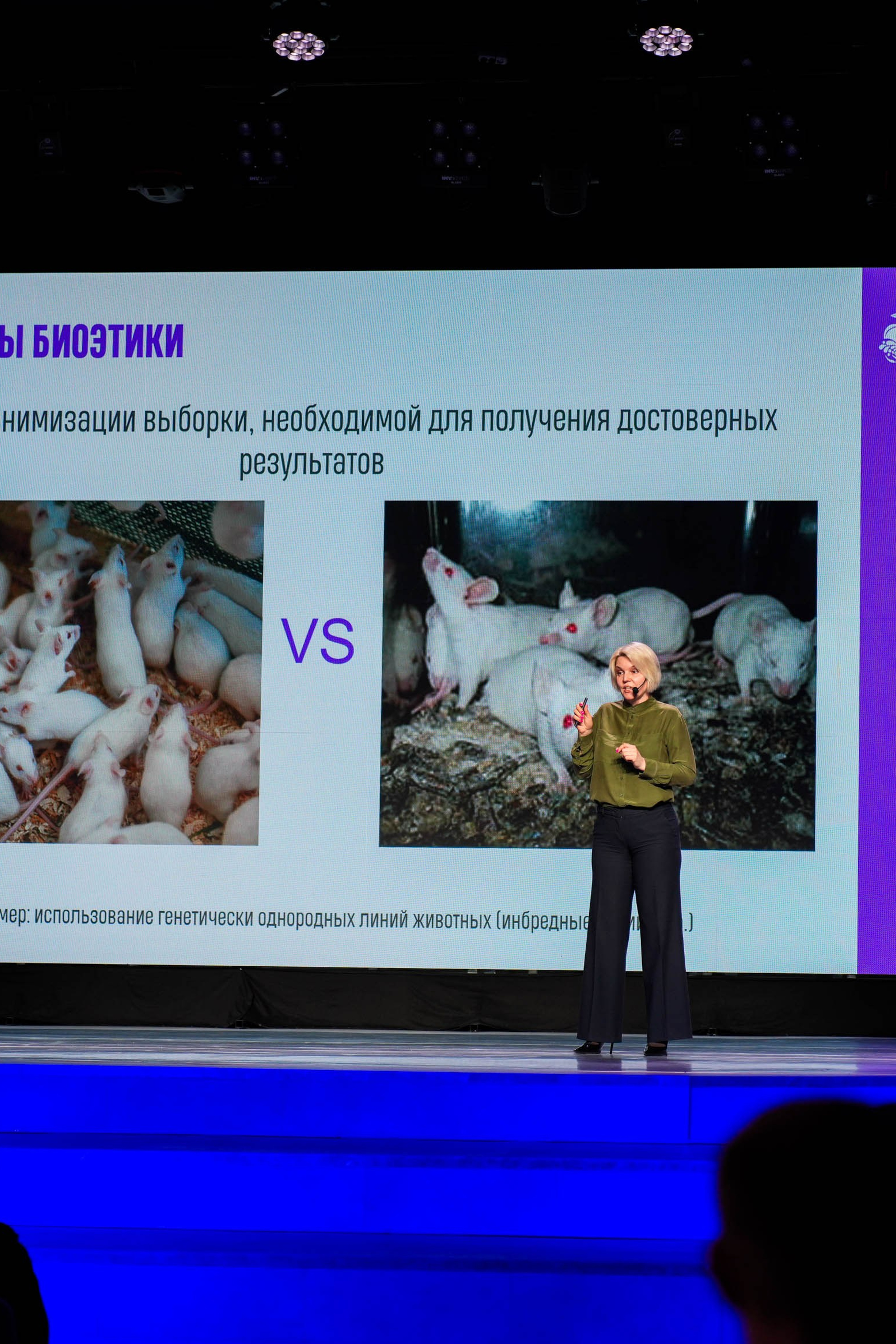 СЛОН: Лекция Анны Кудрявцевой