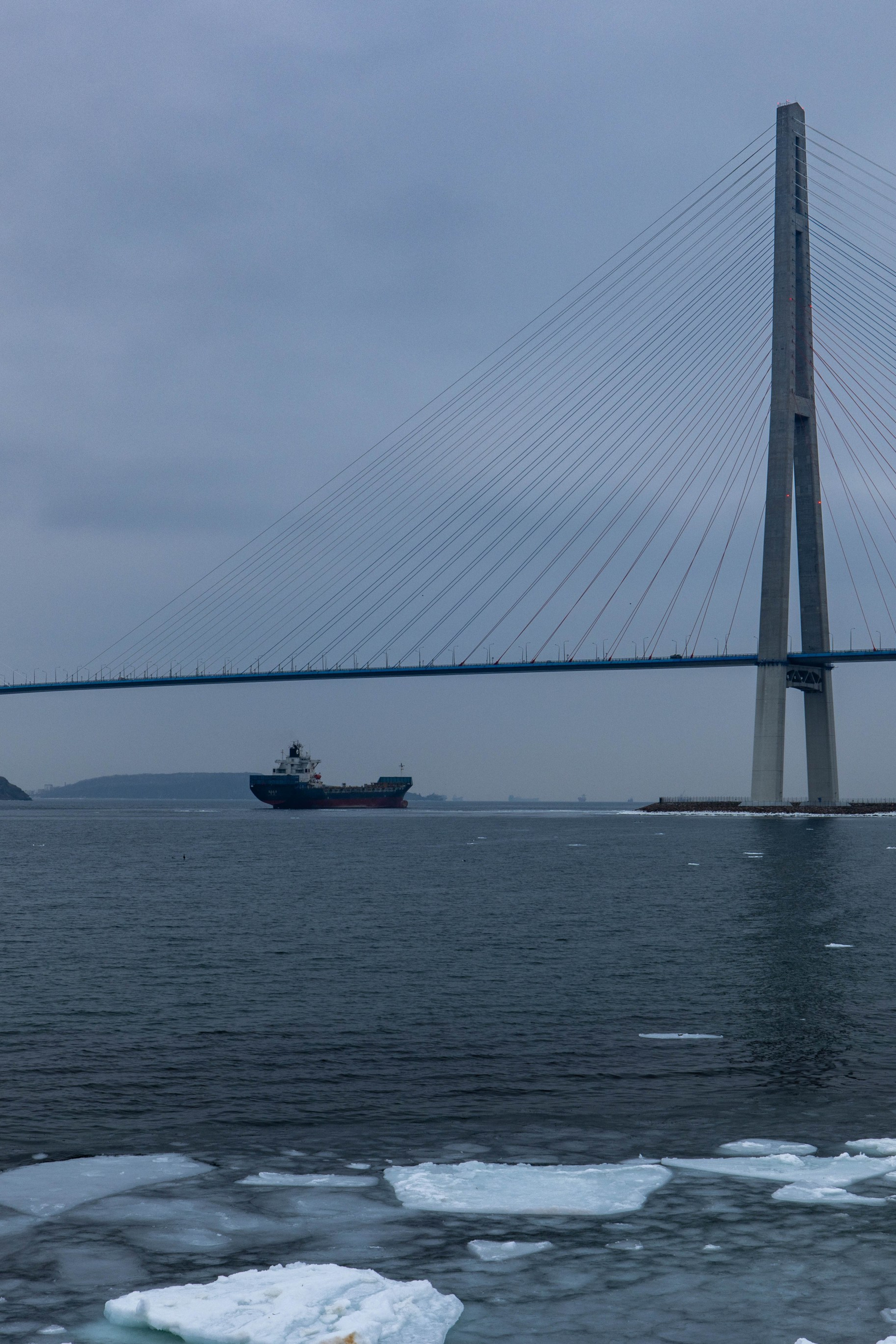 Сайт. Турист оптимист