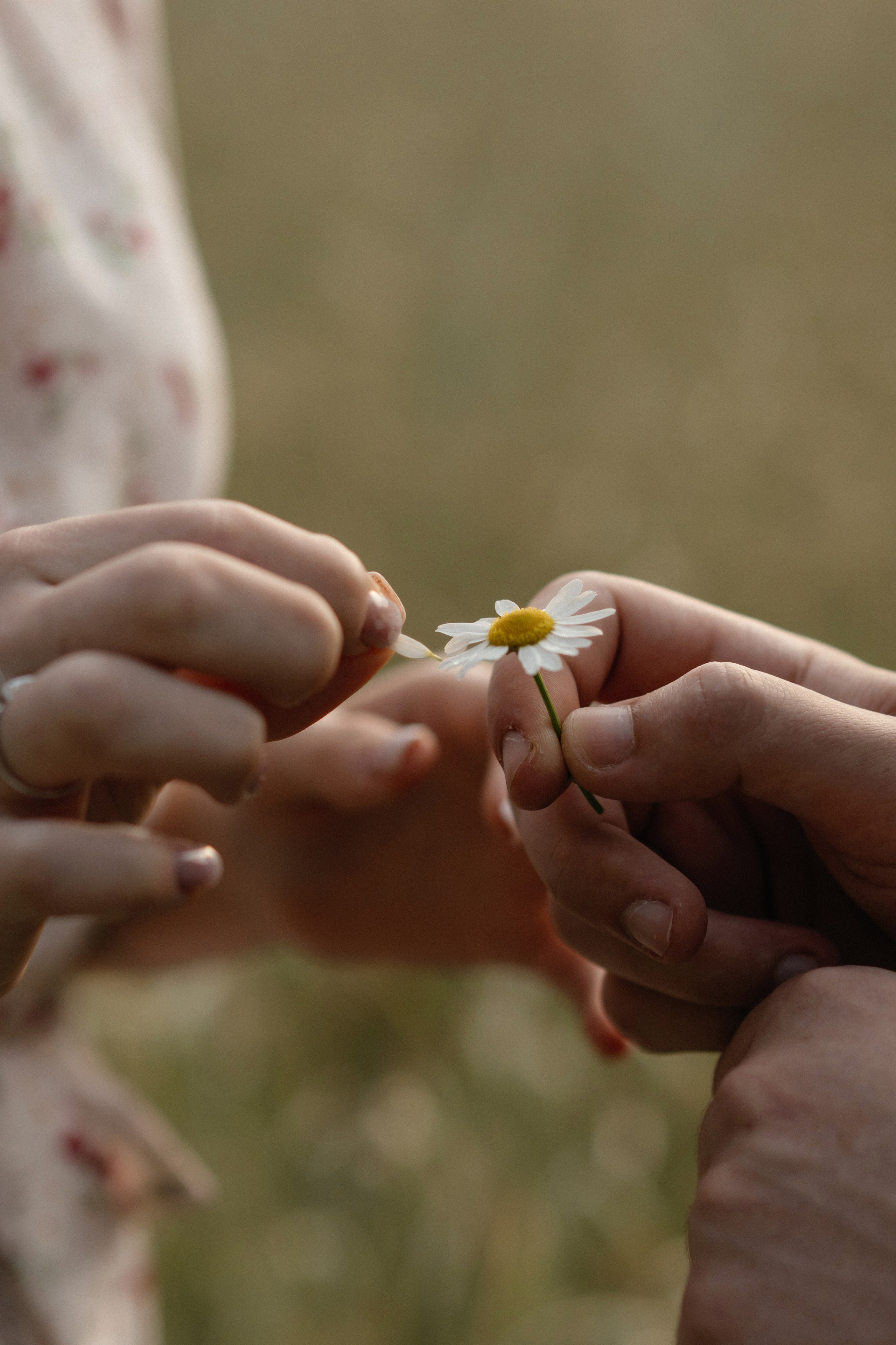 Даша и Вадим