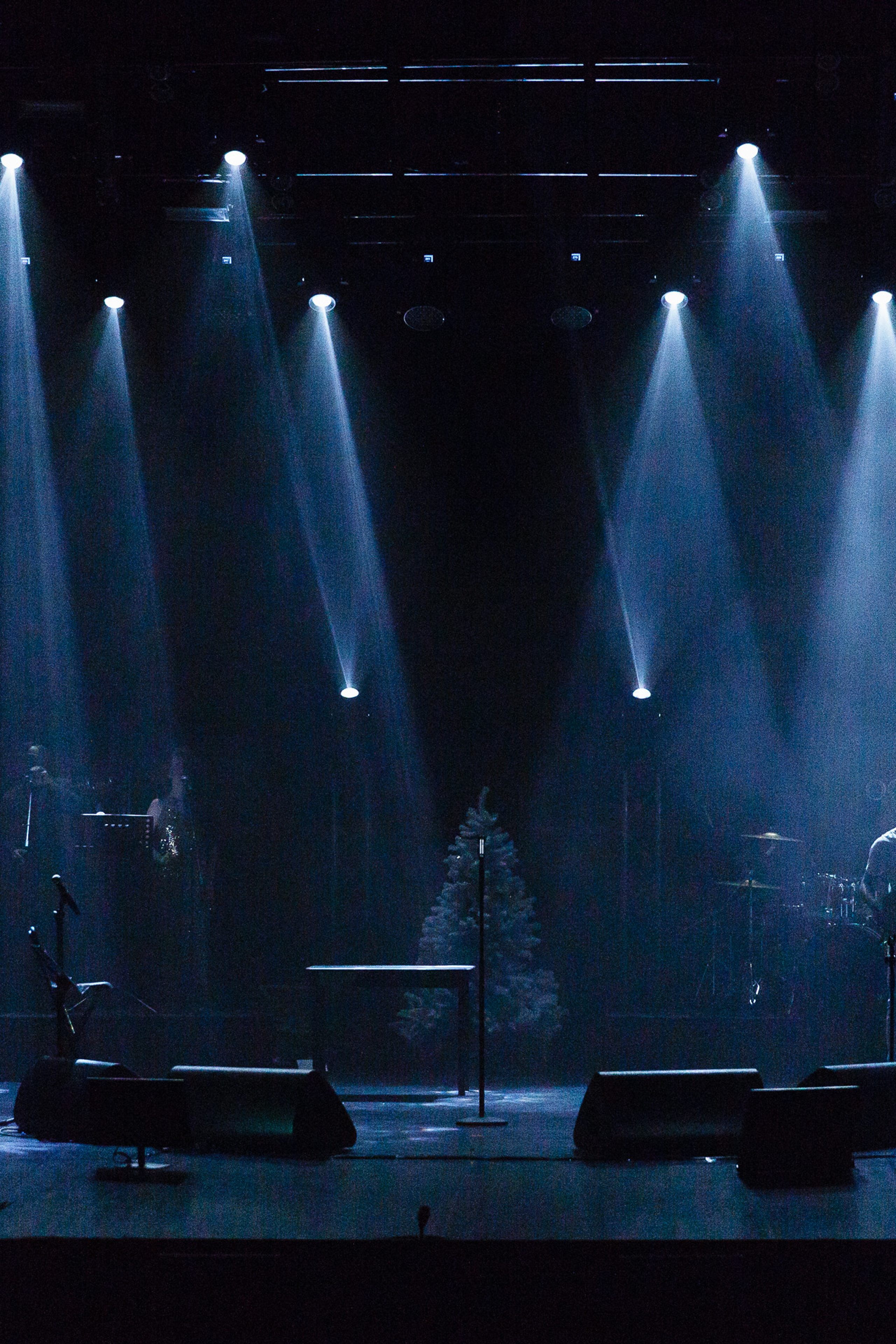 Концерты и фестивали.