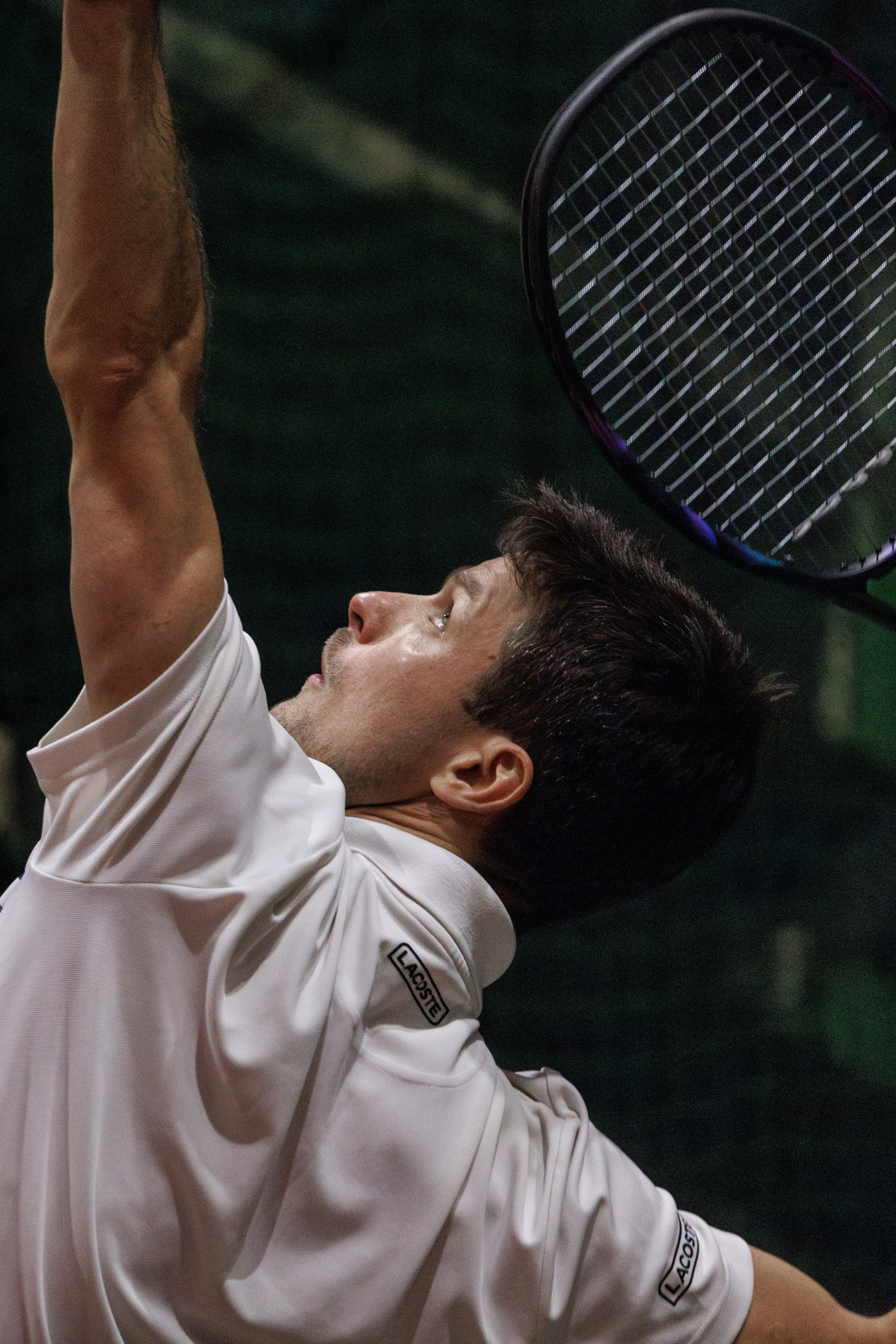 Теннис. Спортивный фотограф Алексей Соломин